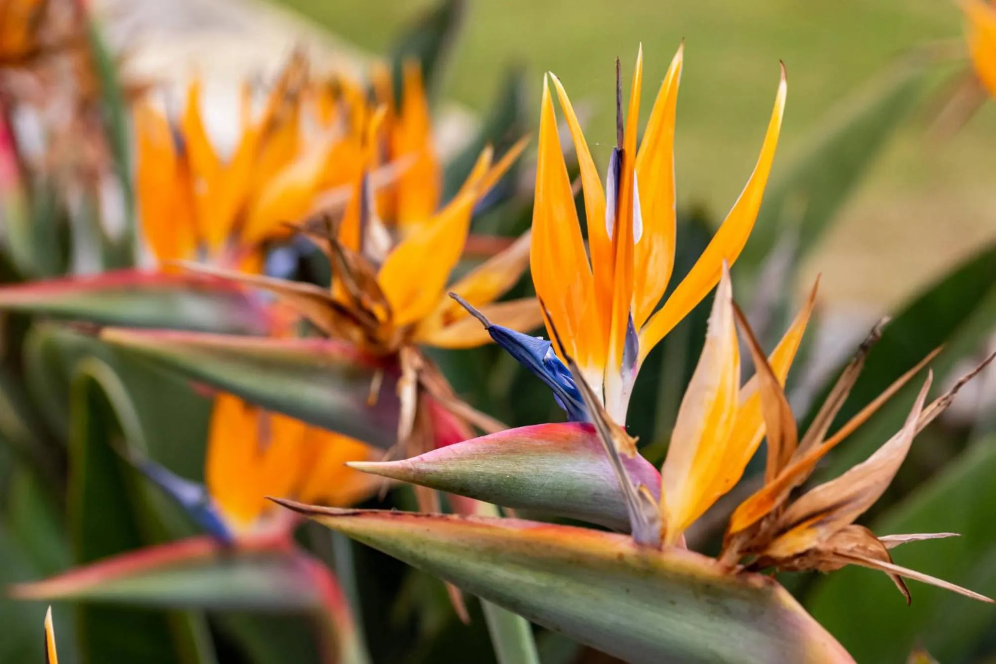 Off site in Quinta da Foz