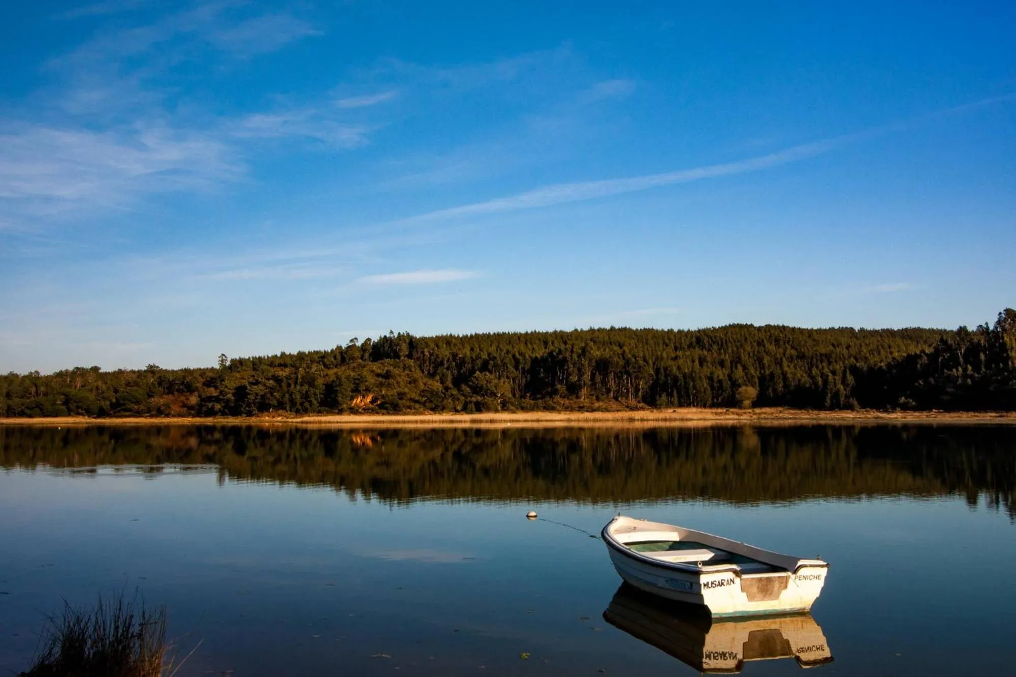 Natural landscape in Quinta da Foz