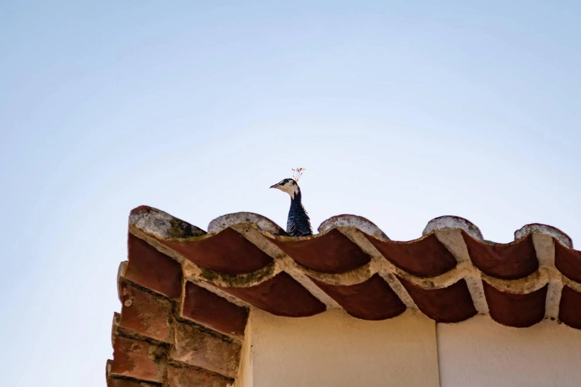 Off site in Quinta da Foz