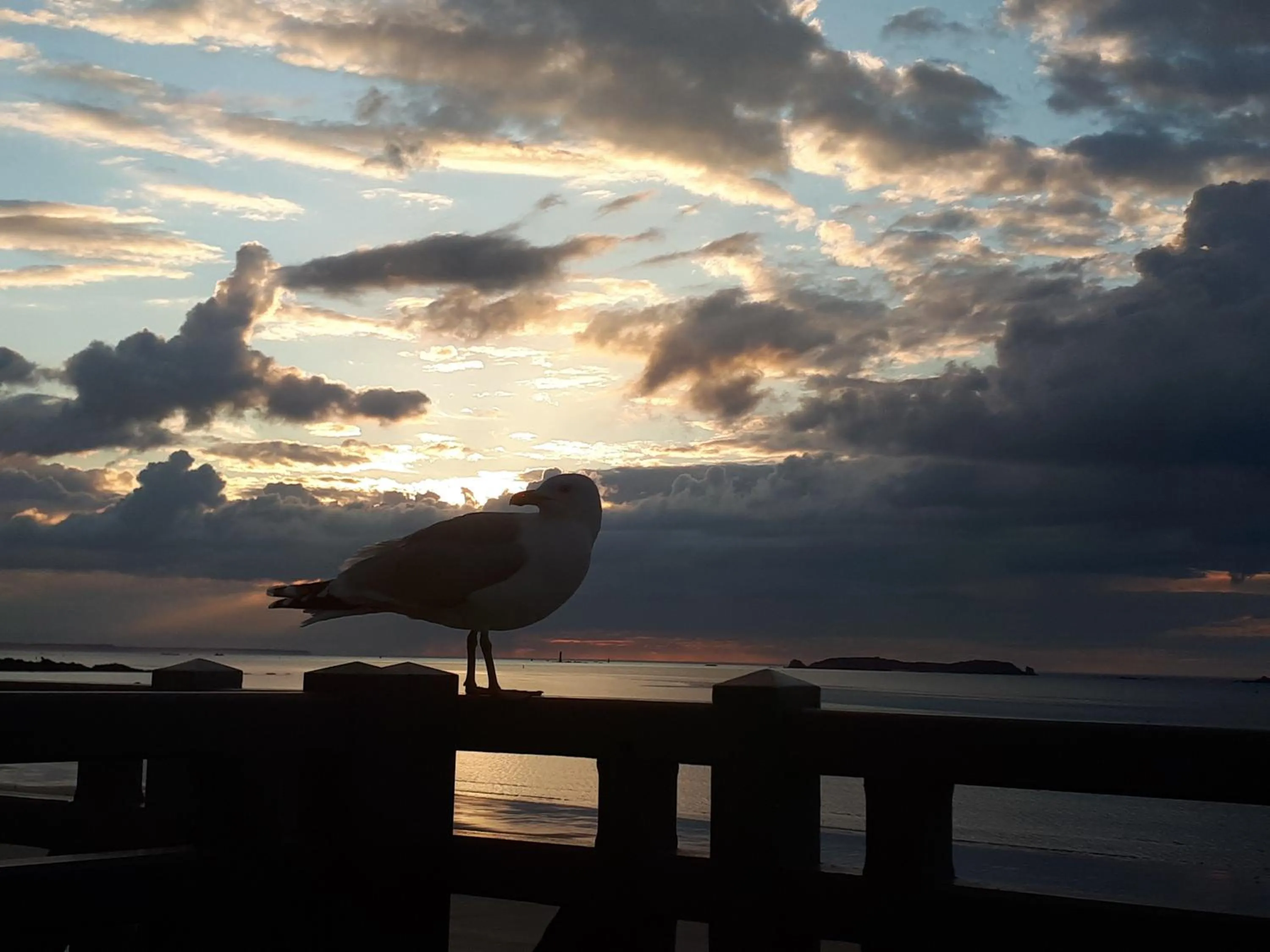 Patio in Hôtel Le Beaufort