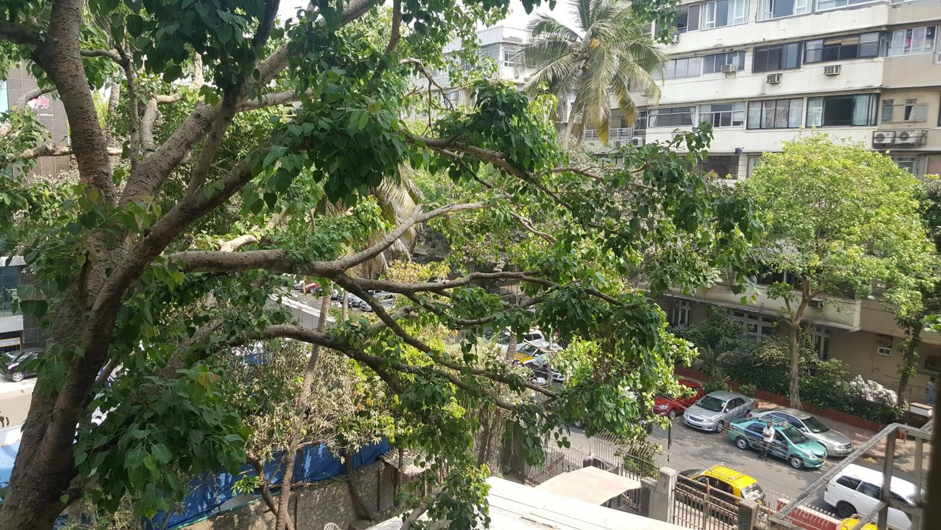 Street view in Bentley Hotel Marine Drive