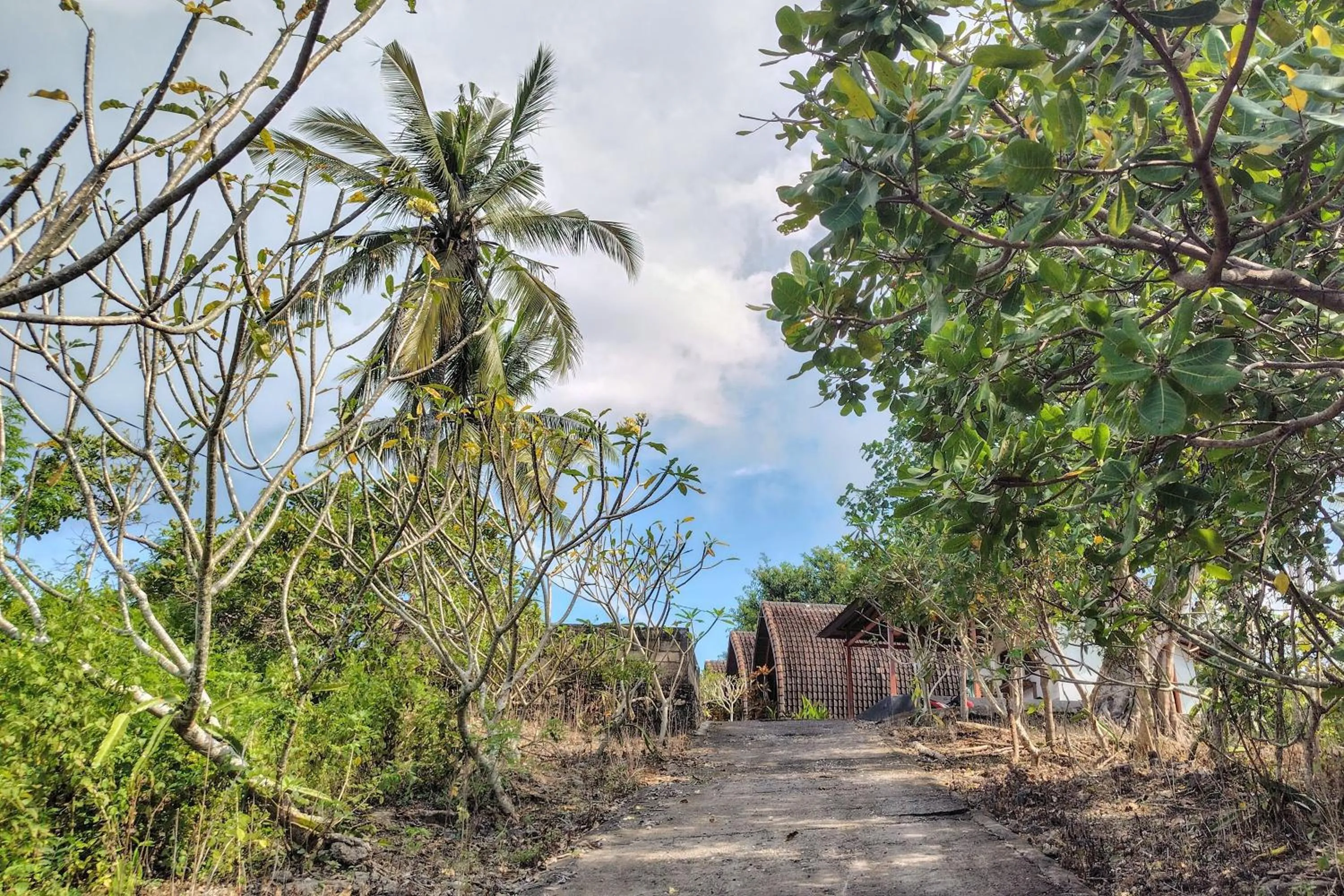 Garden view in The Sweet Corn Bungalow