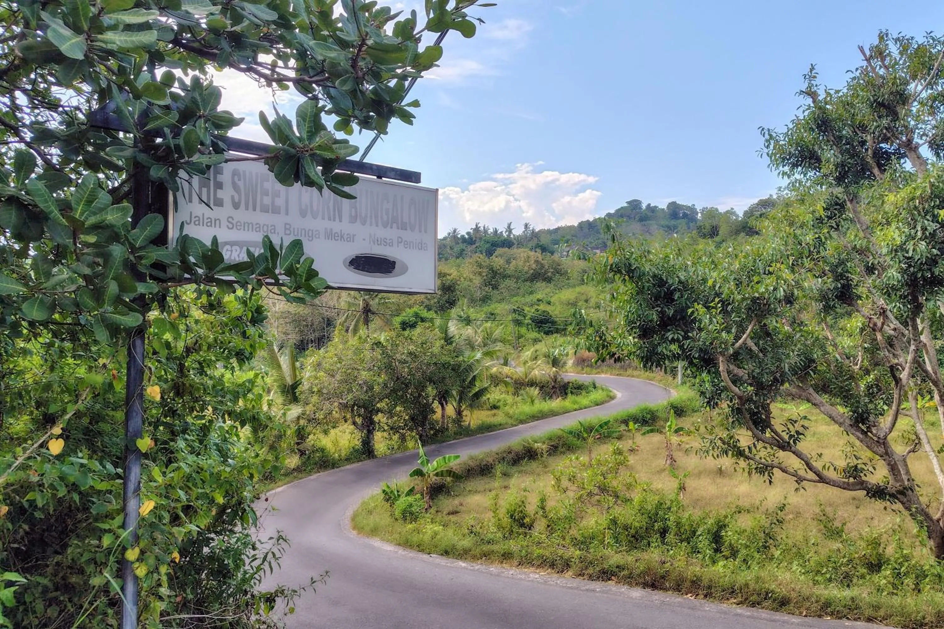 Natural landscape in The Sweet Corn Bungalow