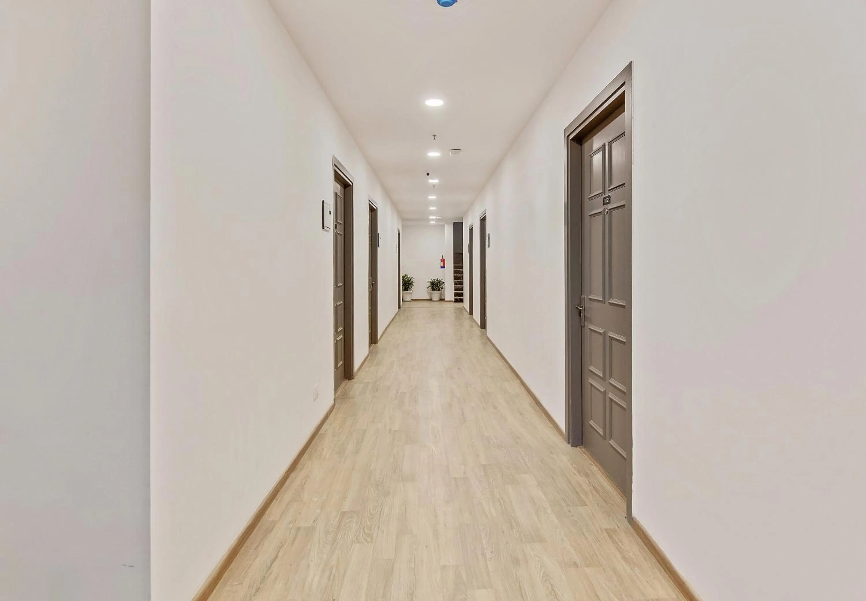 Lobby or reception in Super Townhouse 204 Sector 49 Near Logix city centre