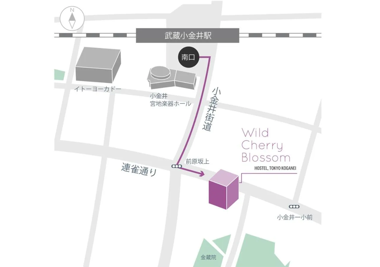 Wild Cherry Blossom-HOSTEL,TOKYO KOGANEI-