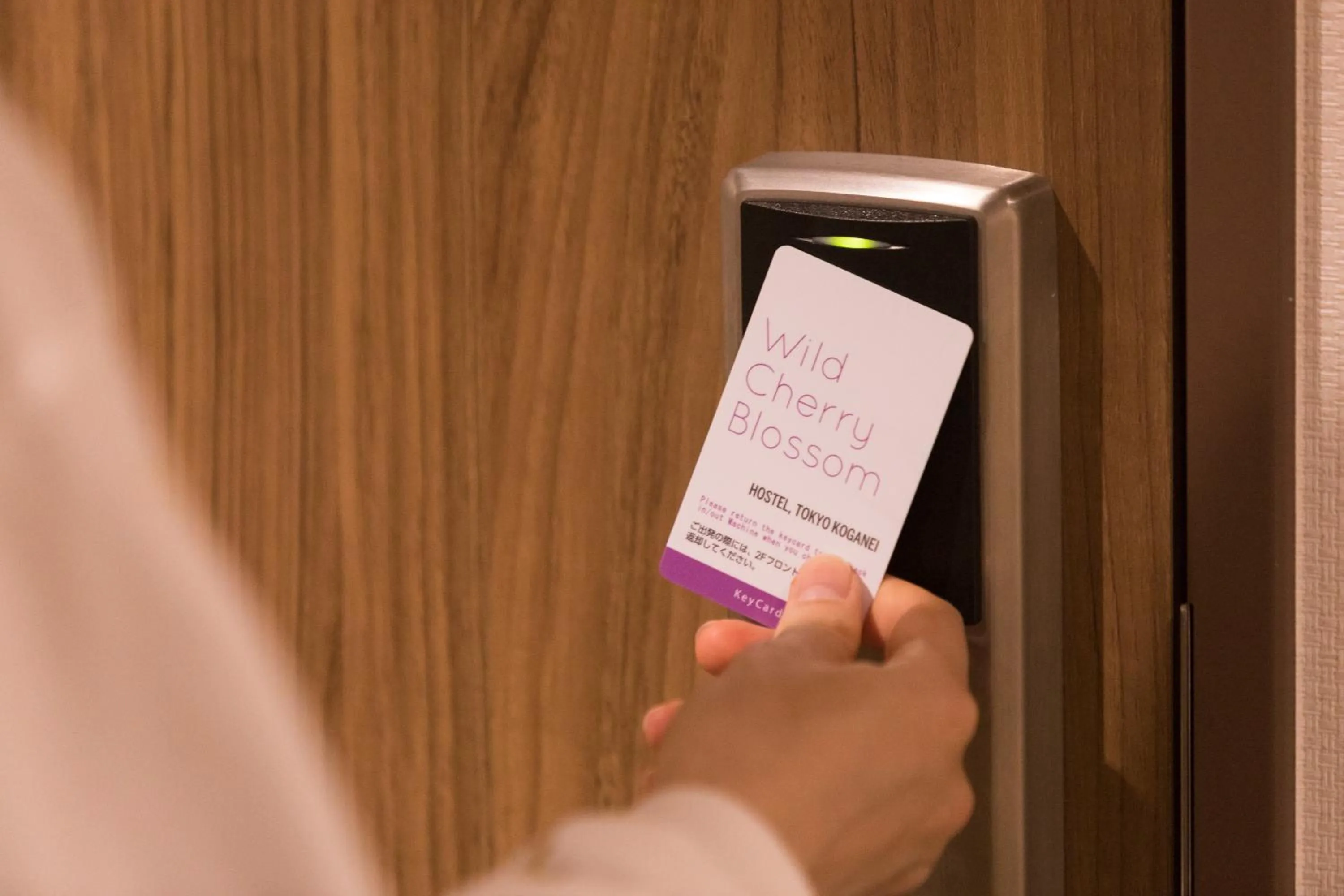 Wild Cherry Blossom-HOSTEL,TOKYO KOGANEI-