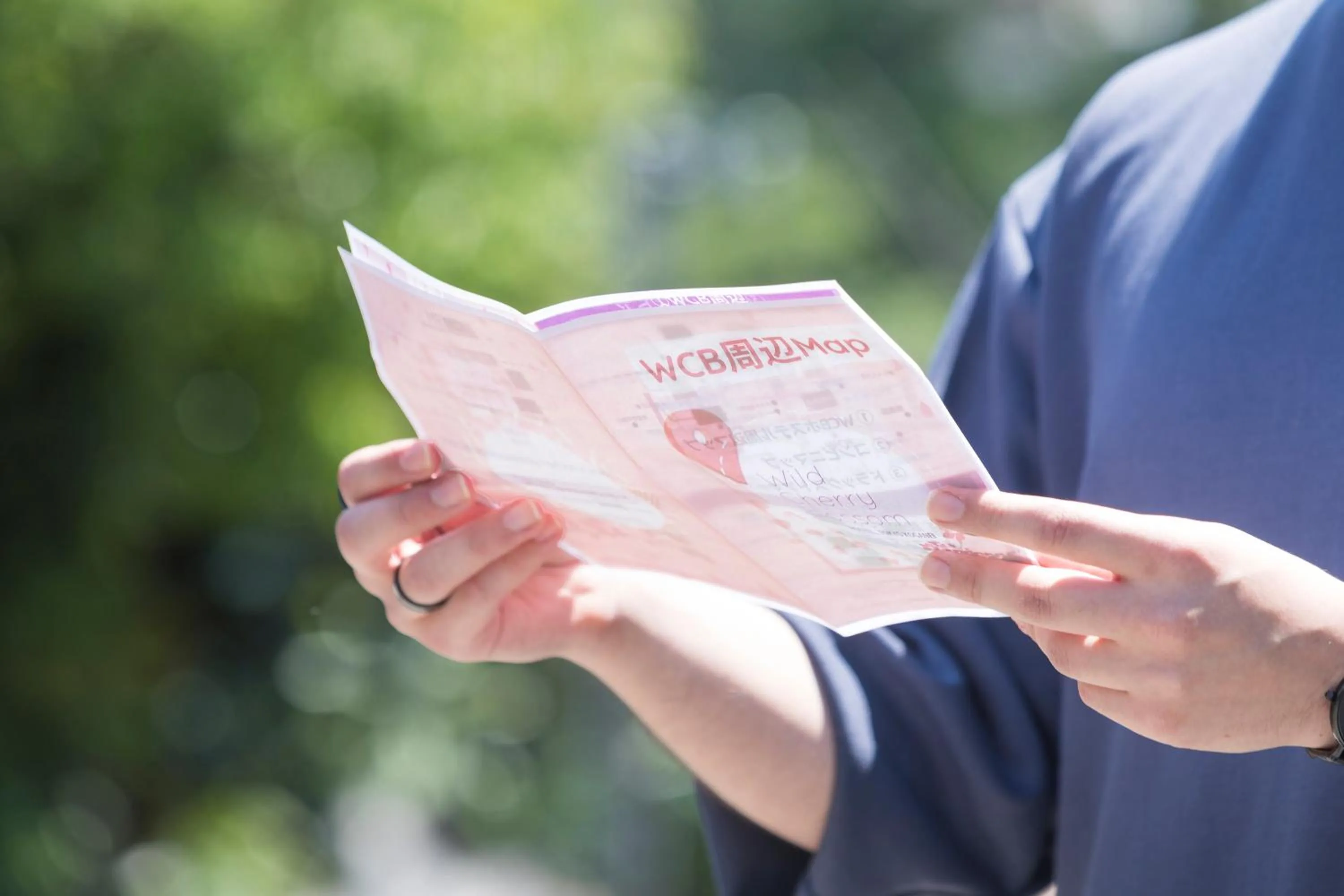 Wild Cherry Blossom-HOSTEL,TOKYO KOGANEI-