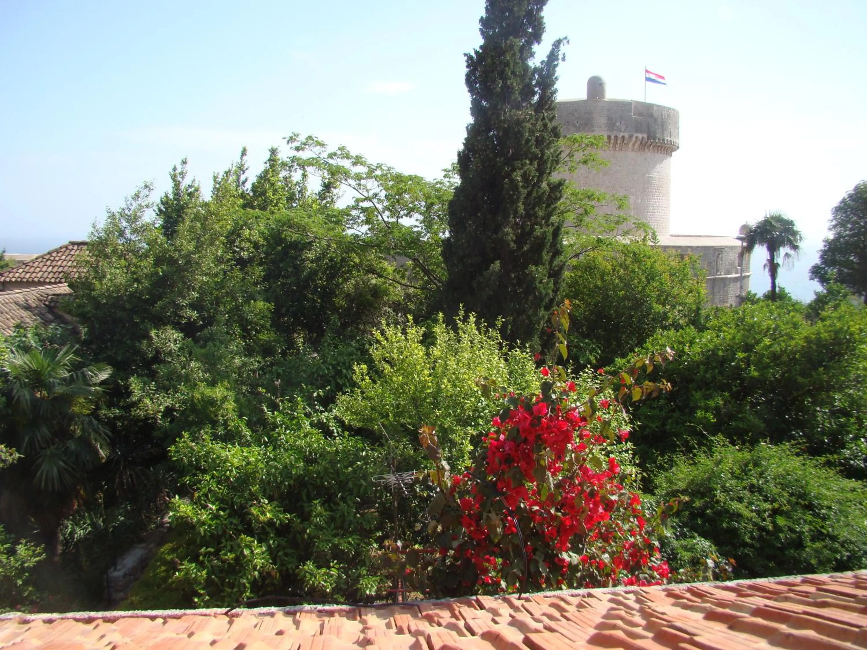 View (from property/room) in Turtle Apartments