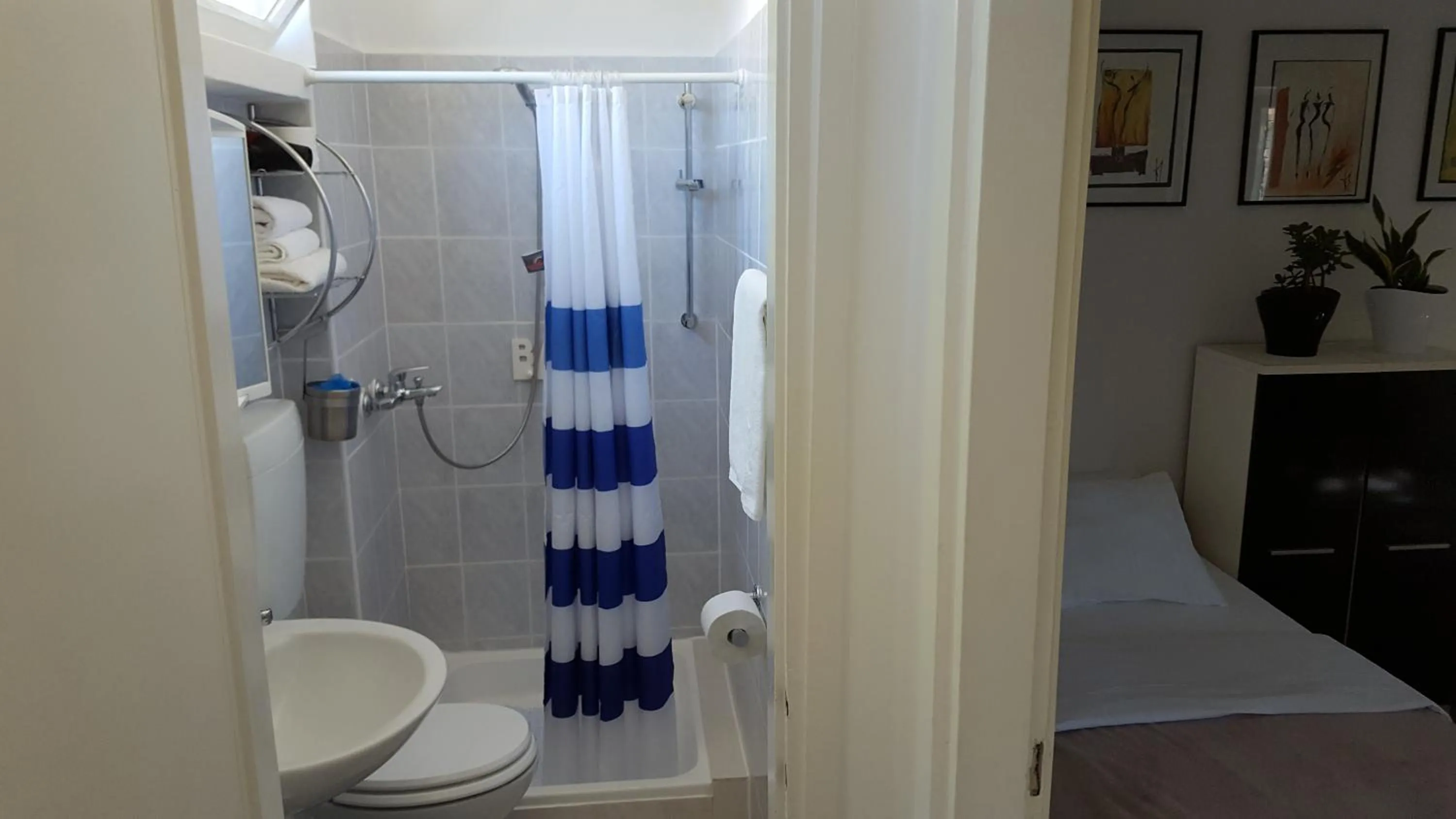 Shower in Turtle Apartments