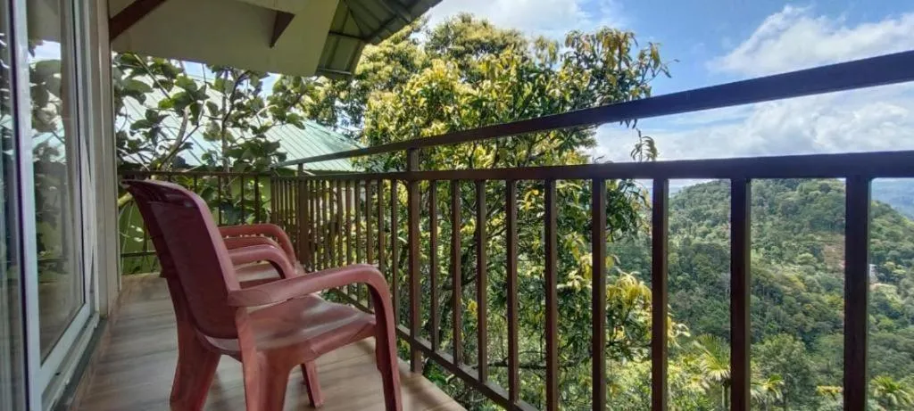 View (from property/room) in The Lake View Munnar