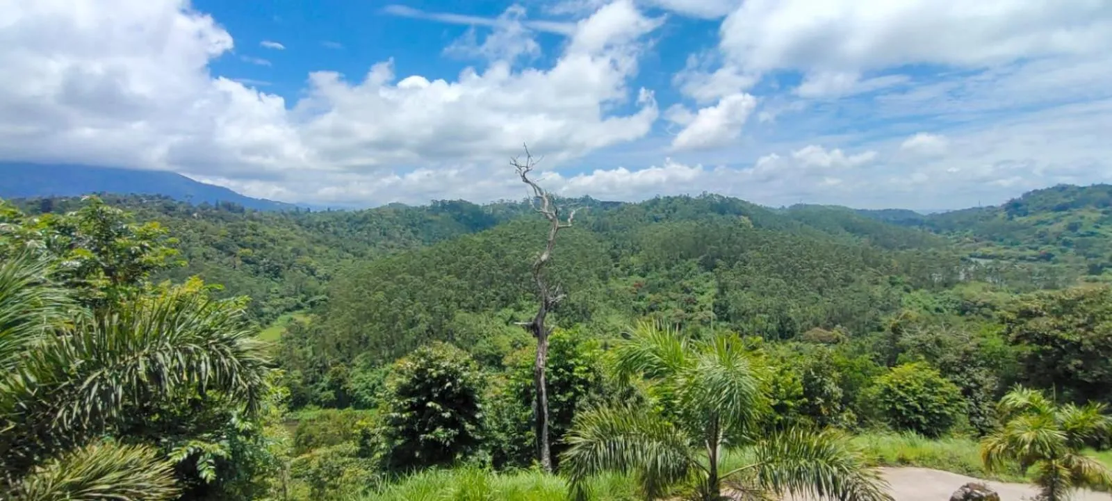 Nearby landmark in The Lake View Munnar