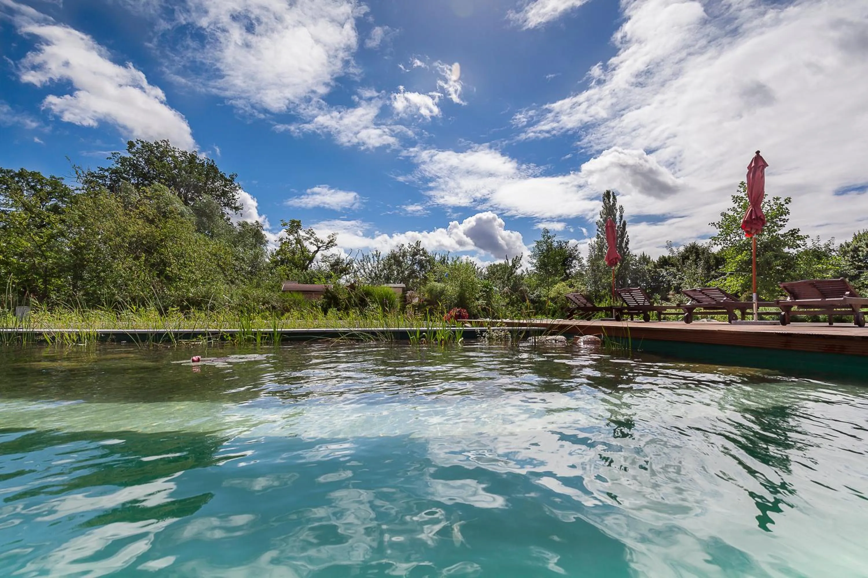 Garden in Hotel Gutshaus Parin - Bio- und Gesundheitshotel