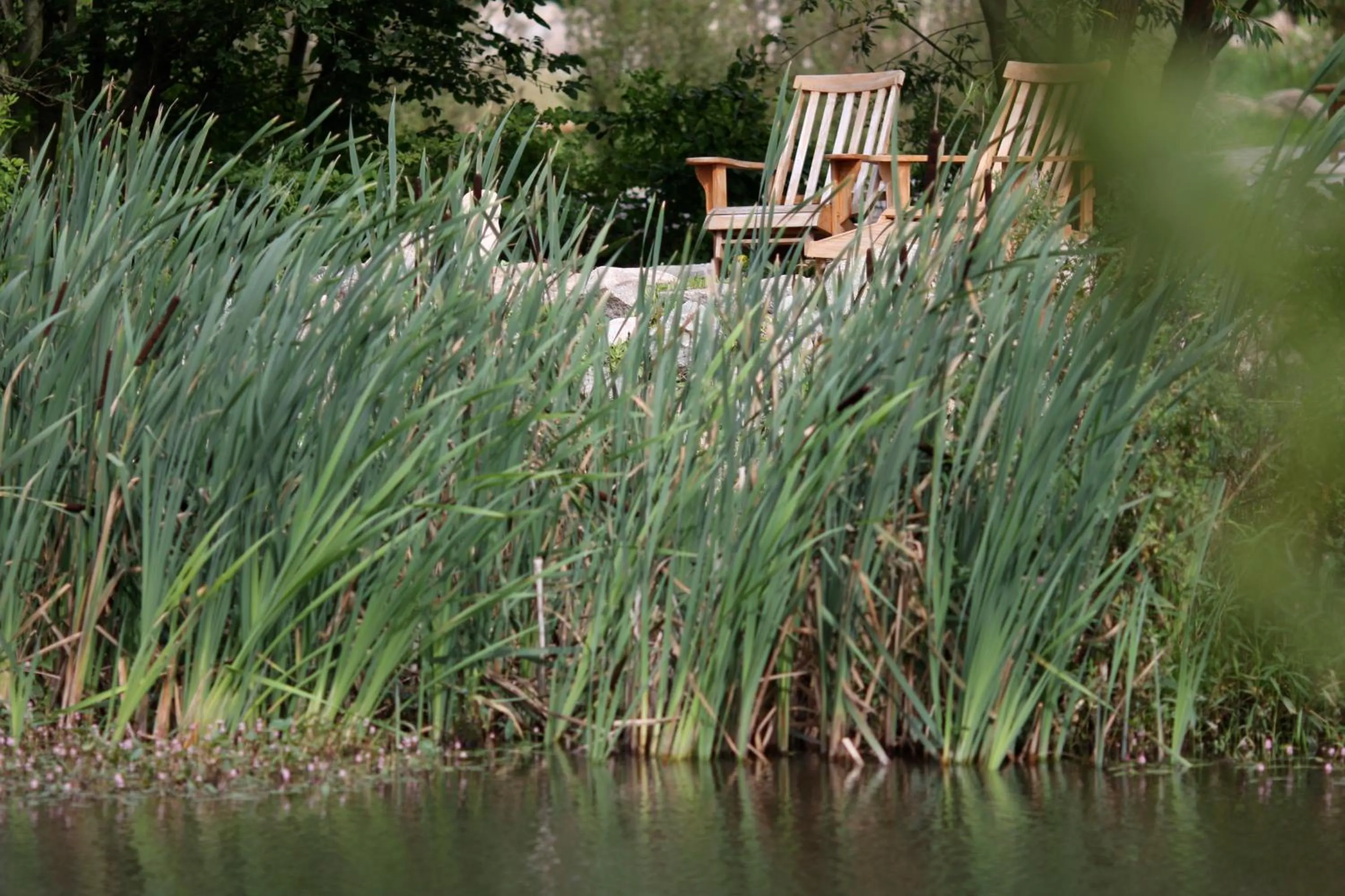 Garden in Hotel Gutshaus Parin - Bio- und Gesundheitshotel
