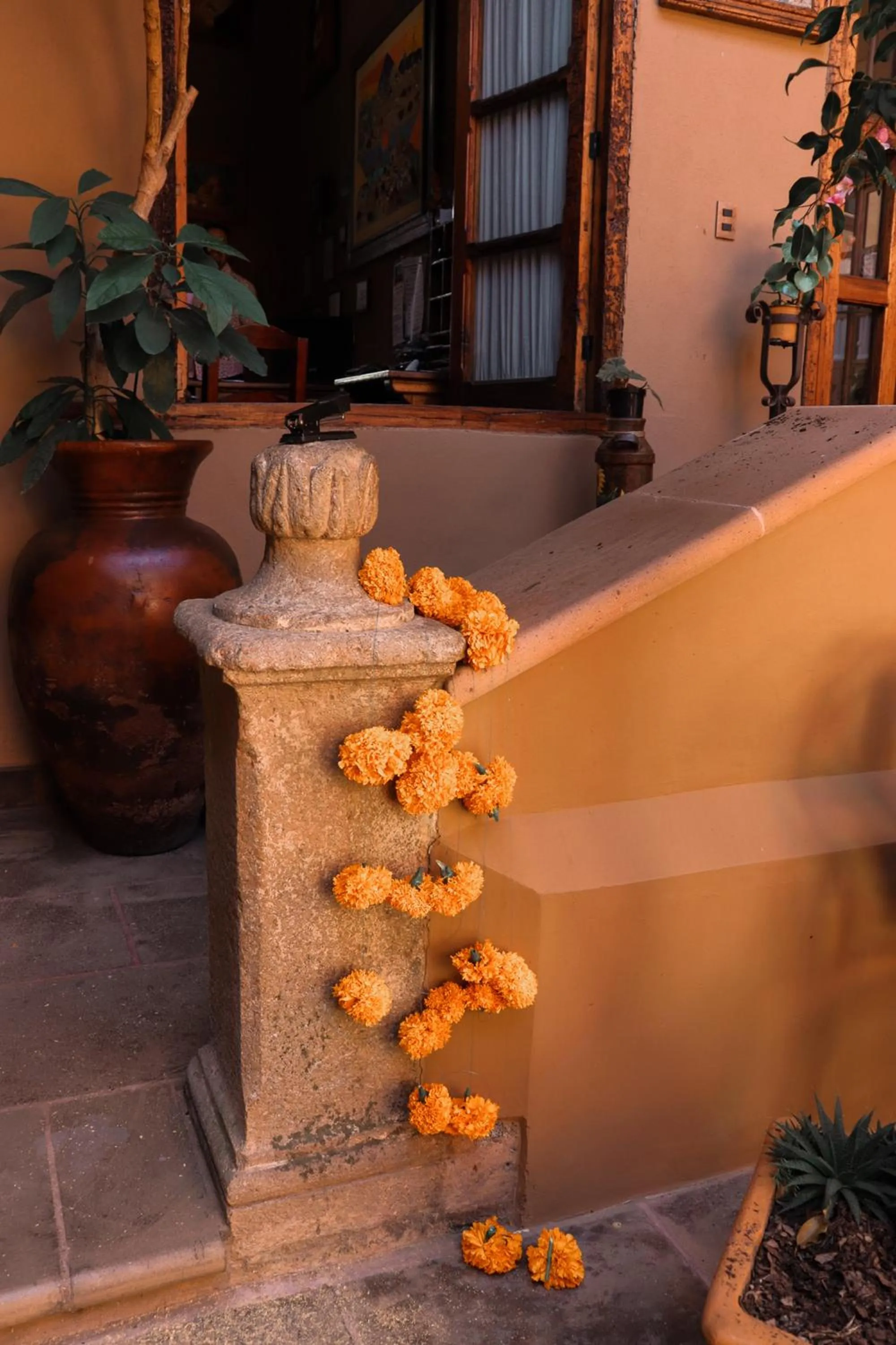 Property building in Mansion de los Sueños