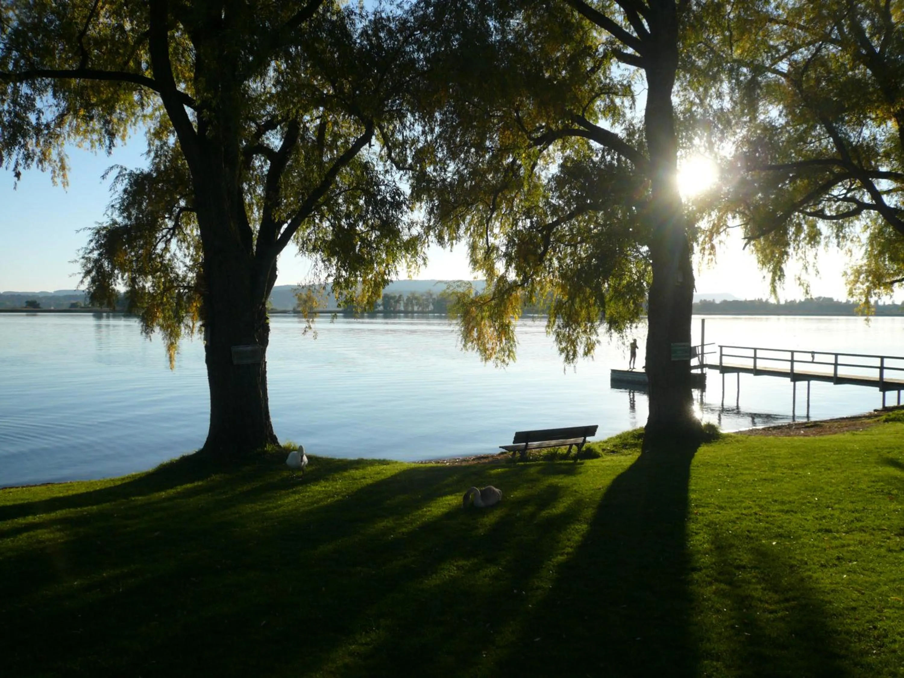 Natural landscape in Naturfreundehaus Bodensee