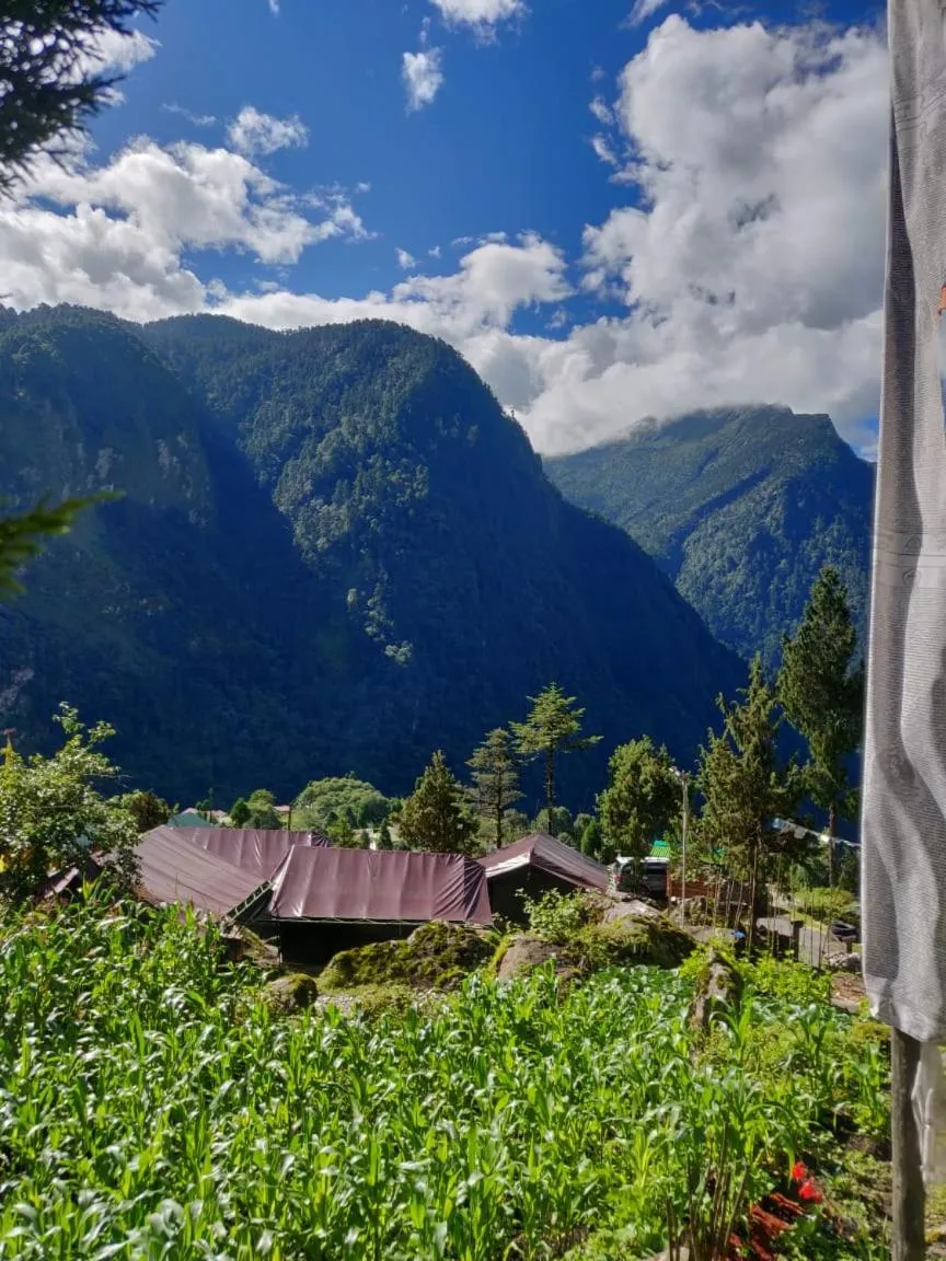 Ourguest Camp Lachung
