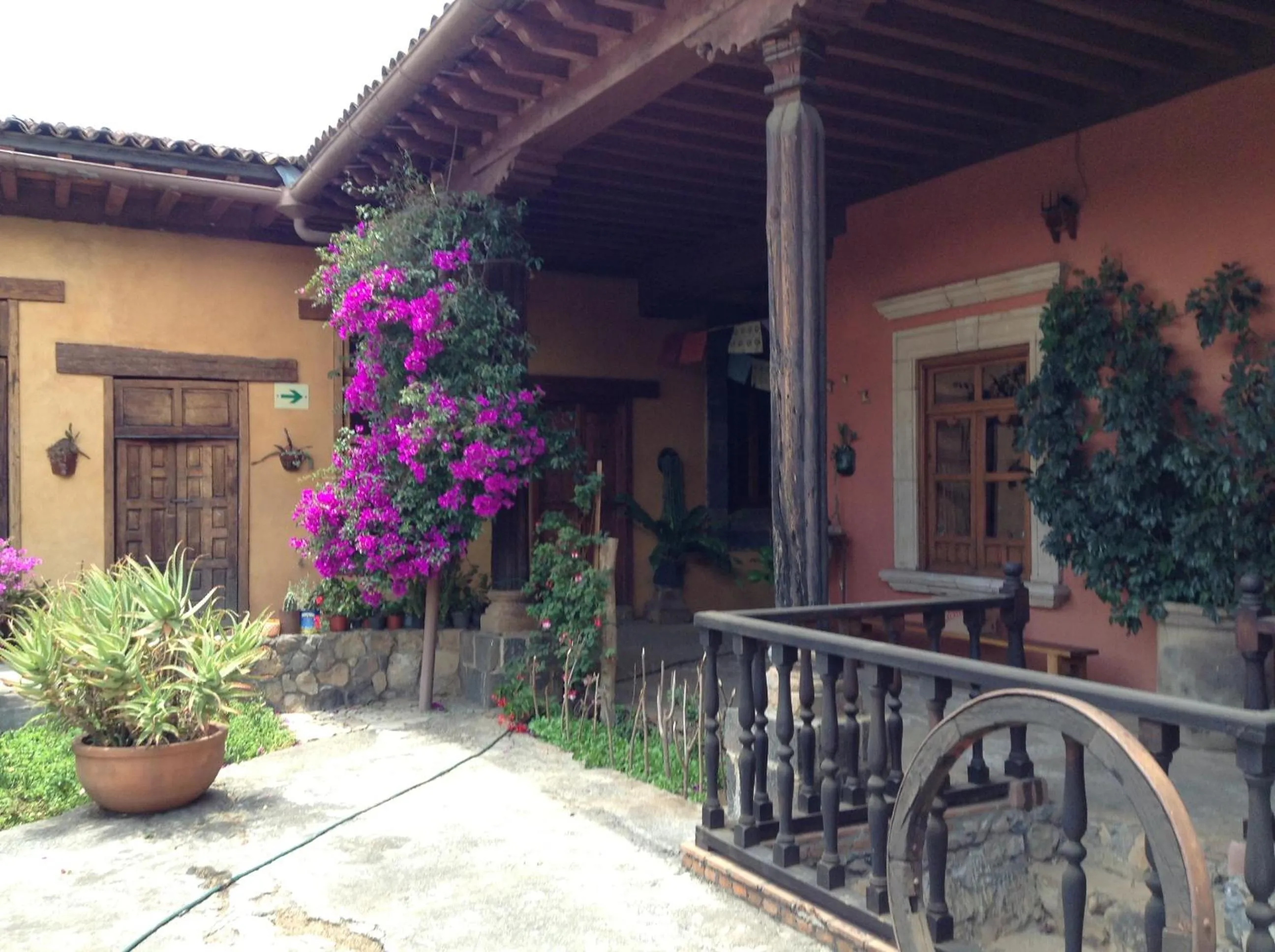 Garden view in Meson de San Antonio
