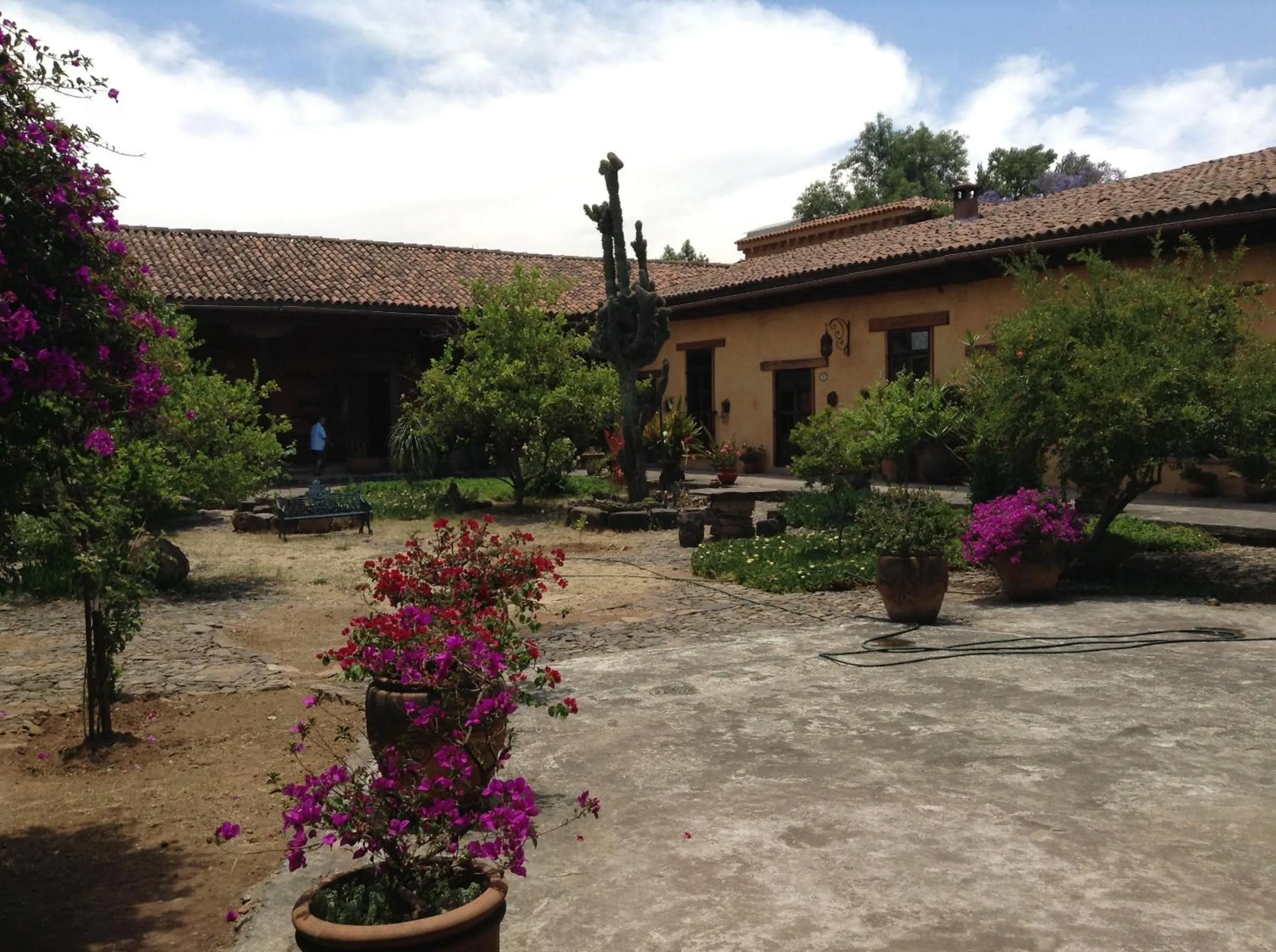 Meson de San Antonio