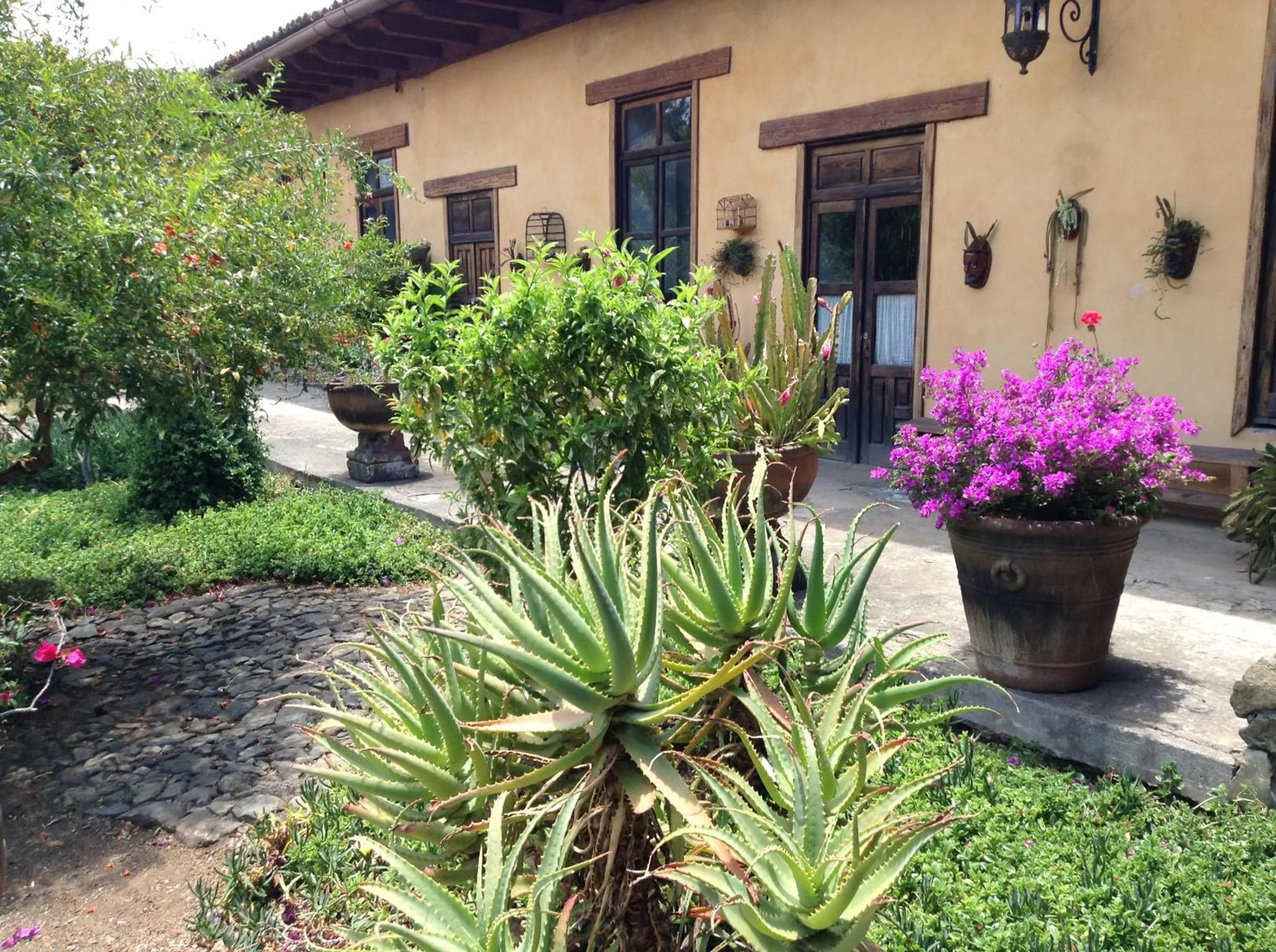 Meson de San Antonio