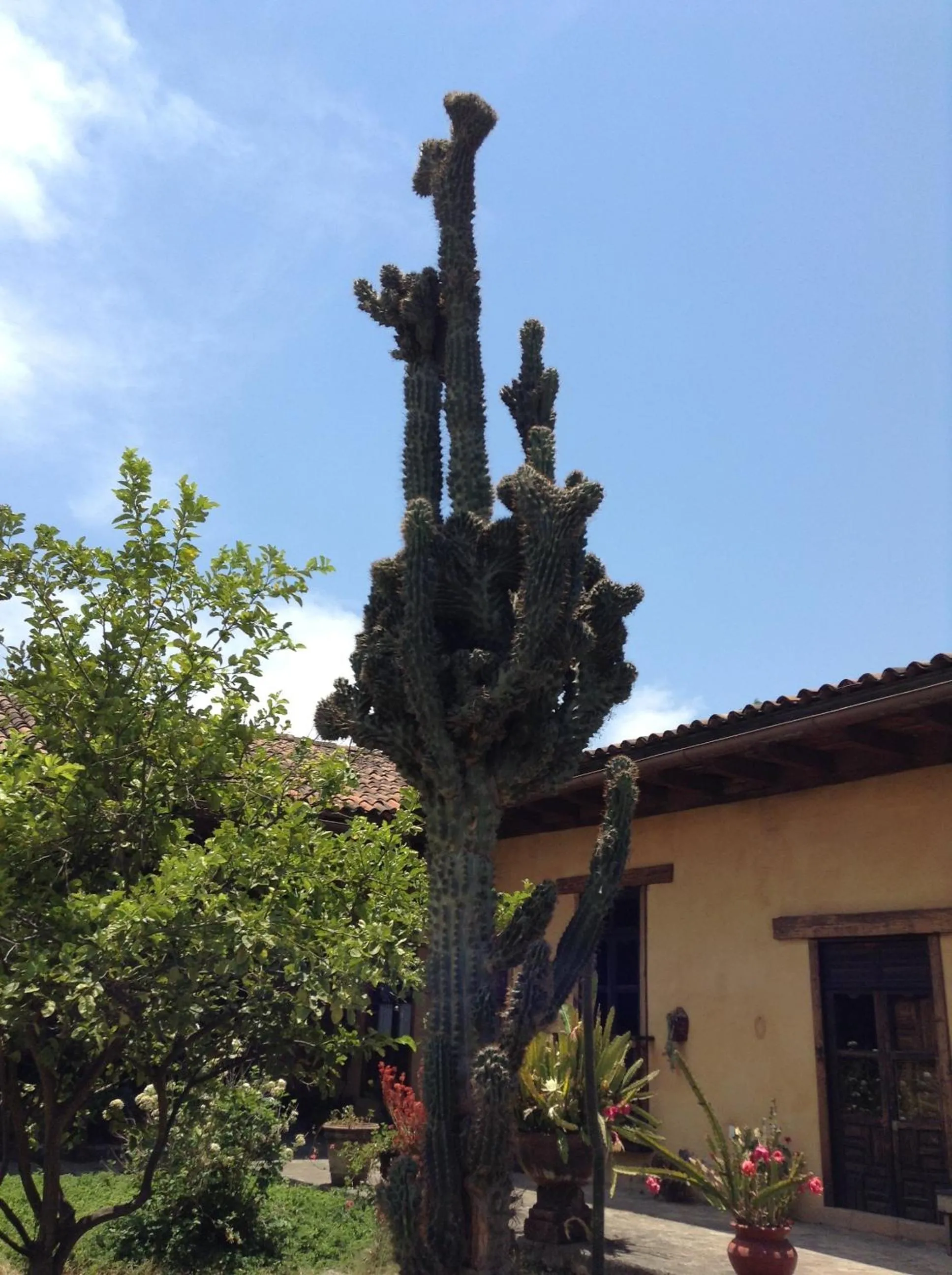 Meson de San Antonio