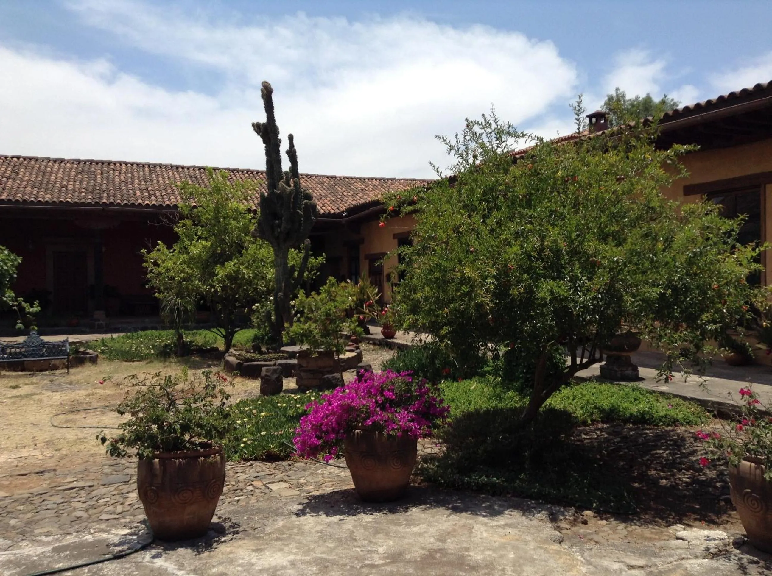 Meson de San Antonio