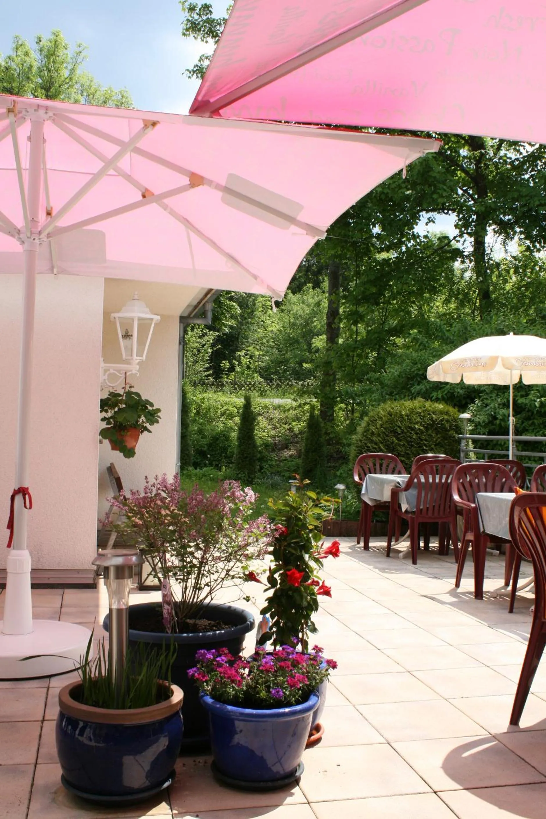 Restaurant/places to eat in Hotel Haus Hellhohl Garni