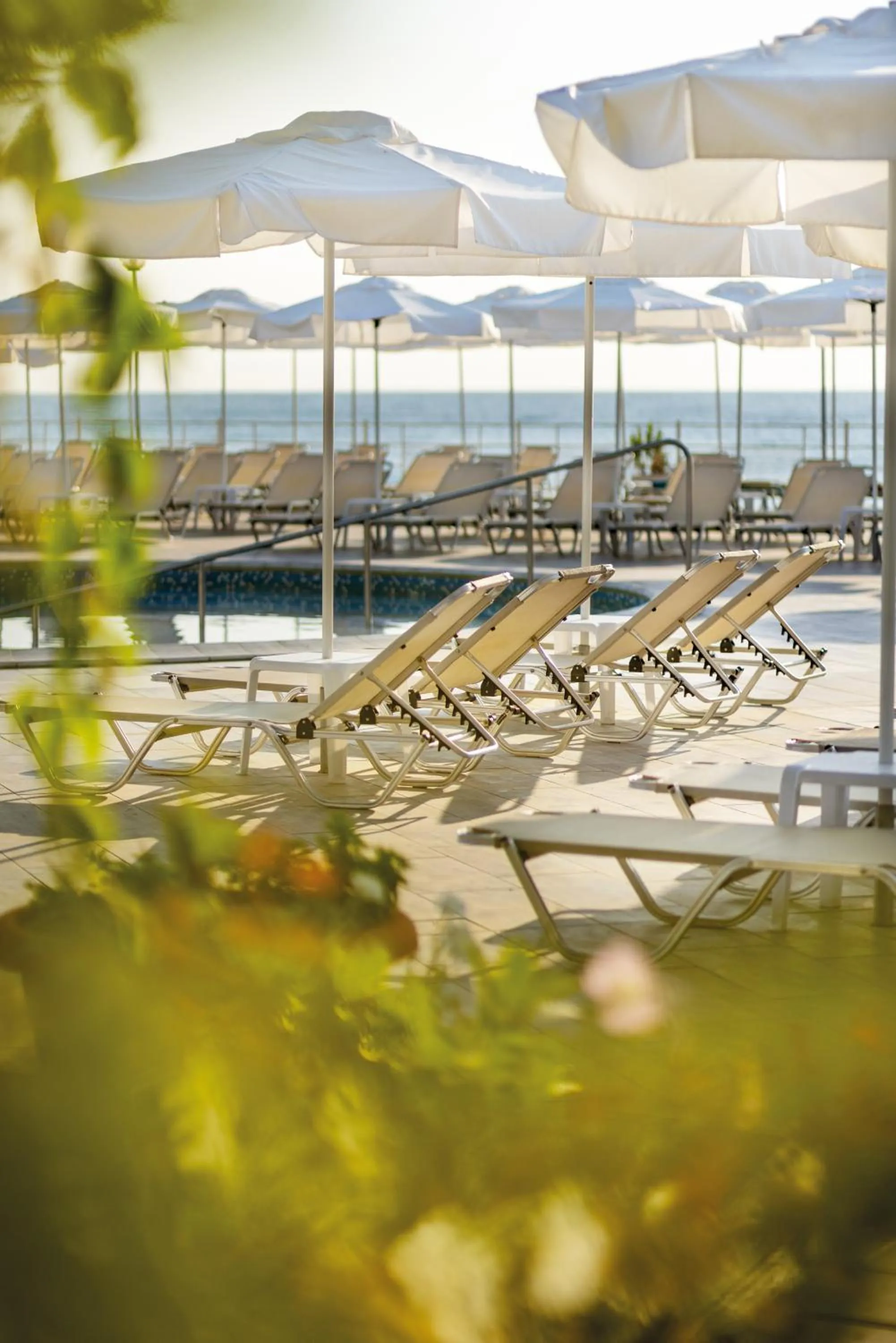 Day in AluaSun Helios Beach - All Inclusive