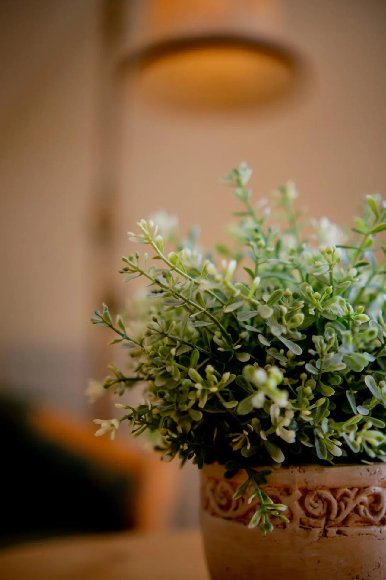 Photo of the whole room in Harzhotel Zum Prinzen