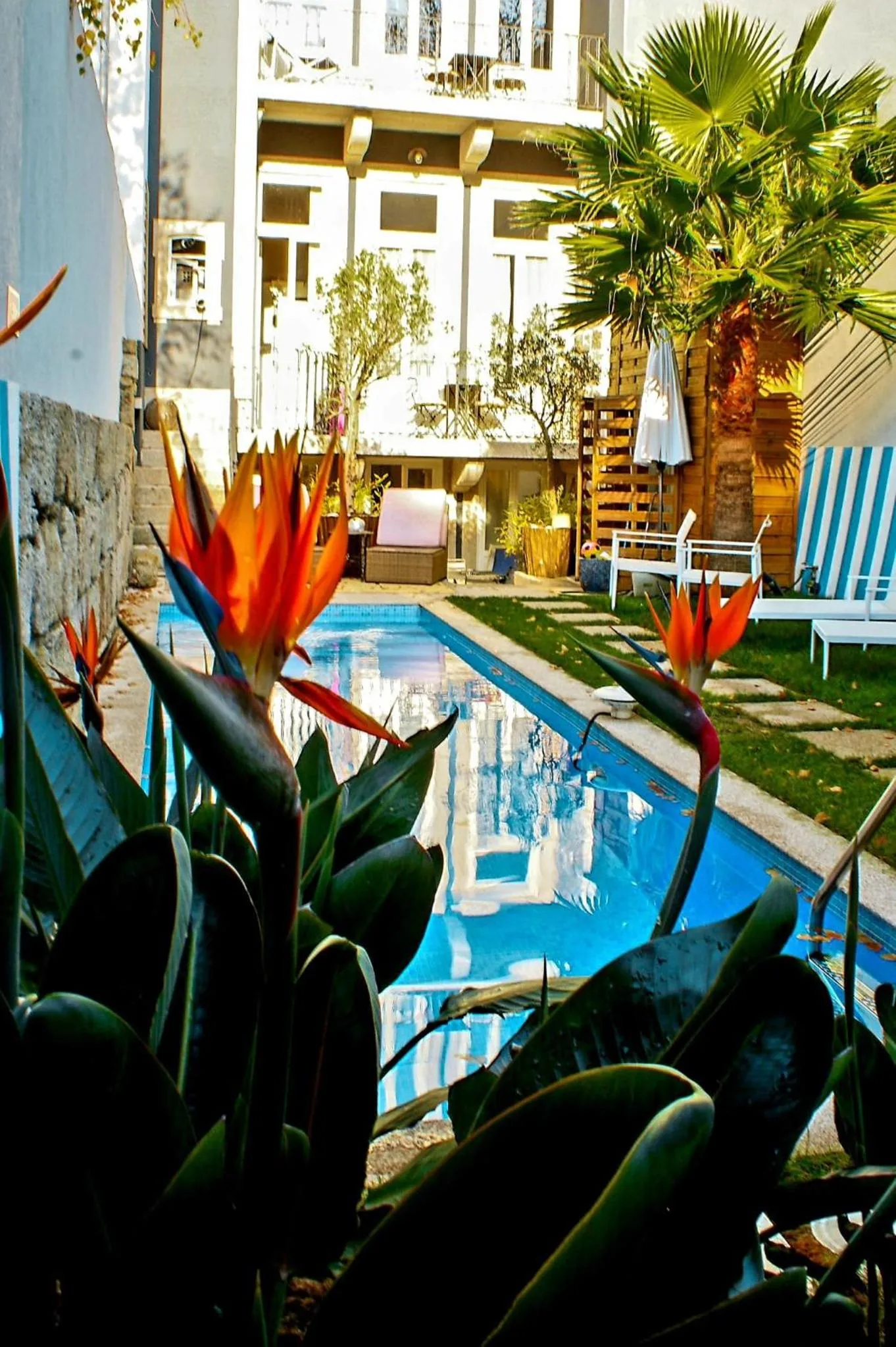 Garden in Maison Cabral