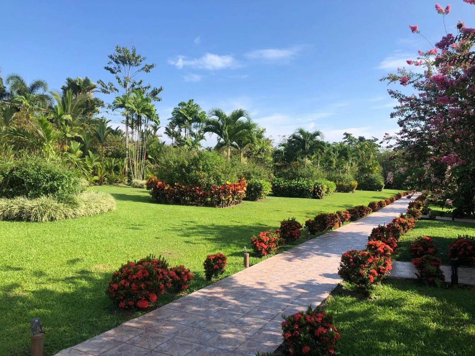 Garden in Hotel Villas Vilma