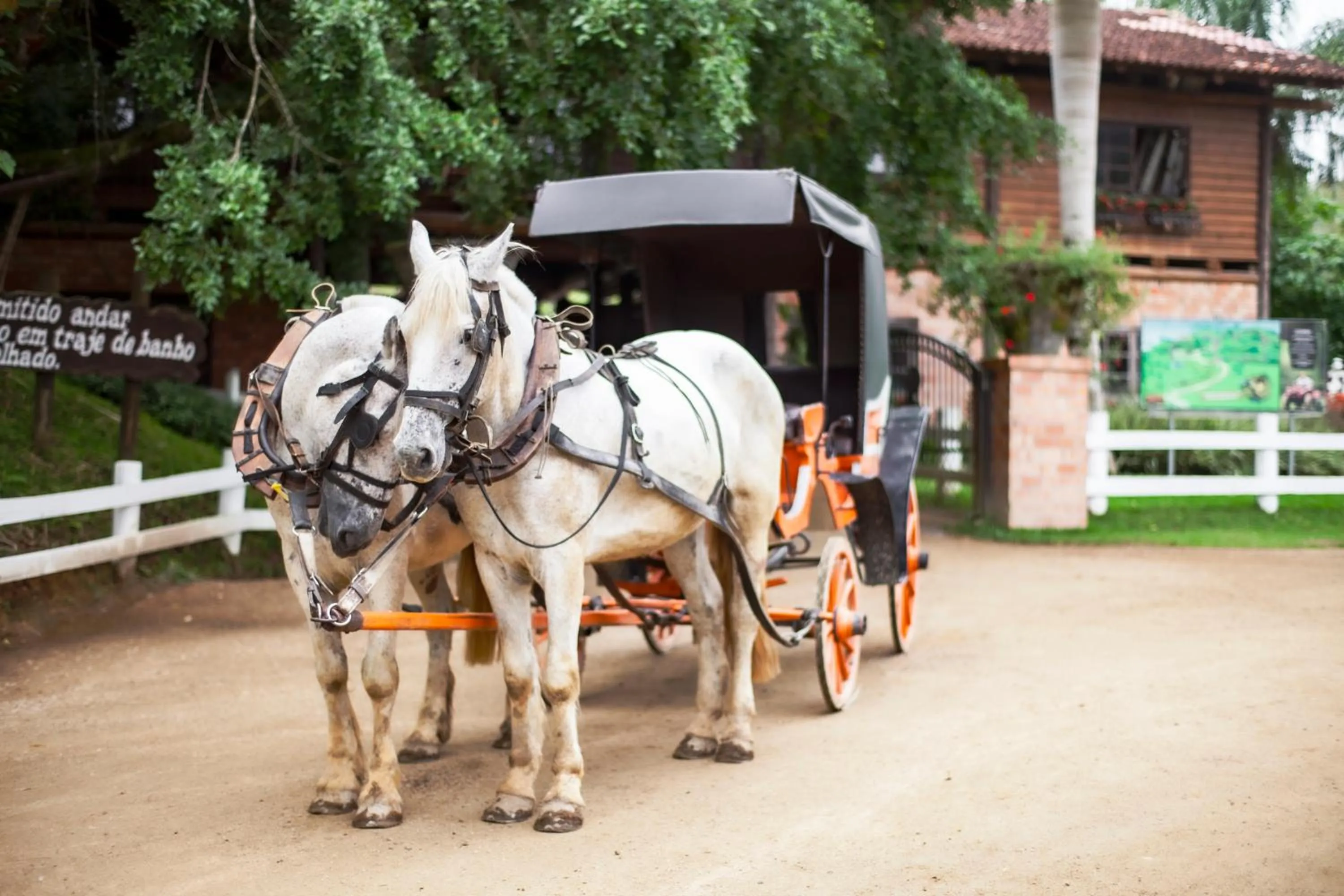 Horse-riding in Fazzenda Park Resort