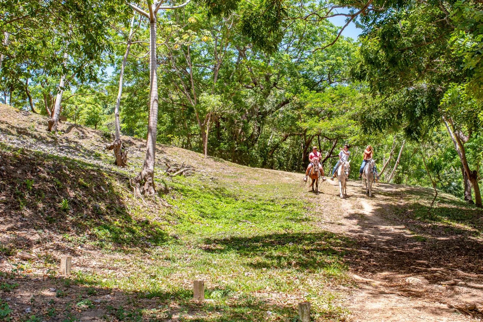 Horse-riding in Mayan Princess Beach & Dive Resort