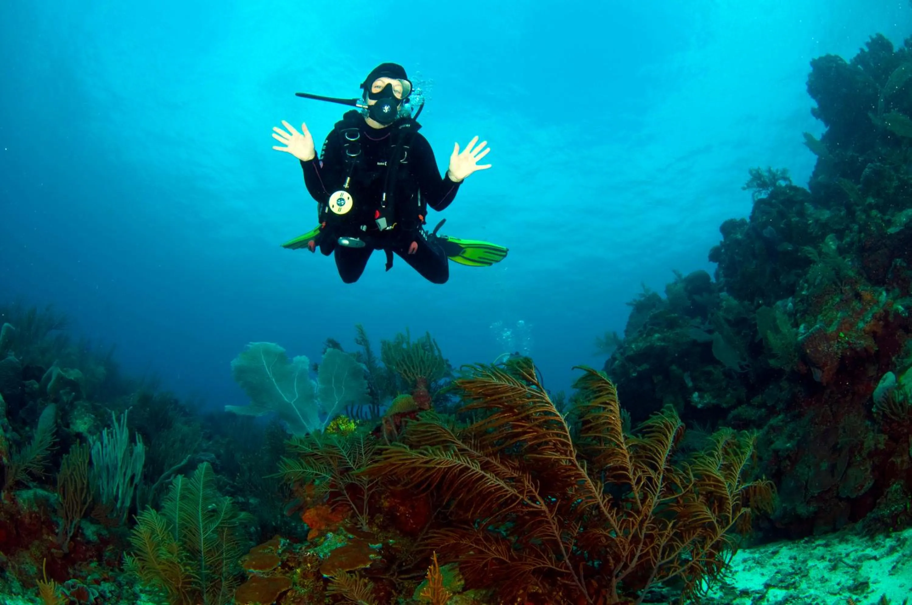 Diving in Mayan Princess Beach & Dive Resort
