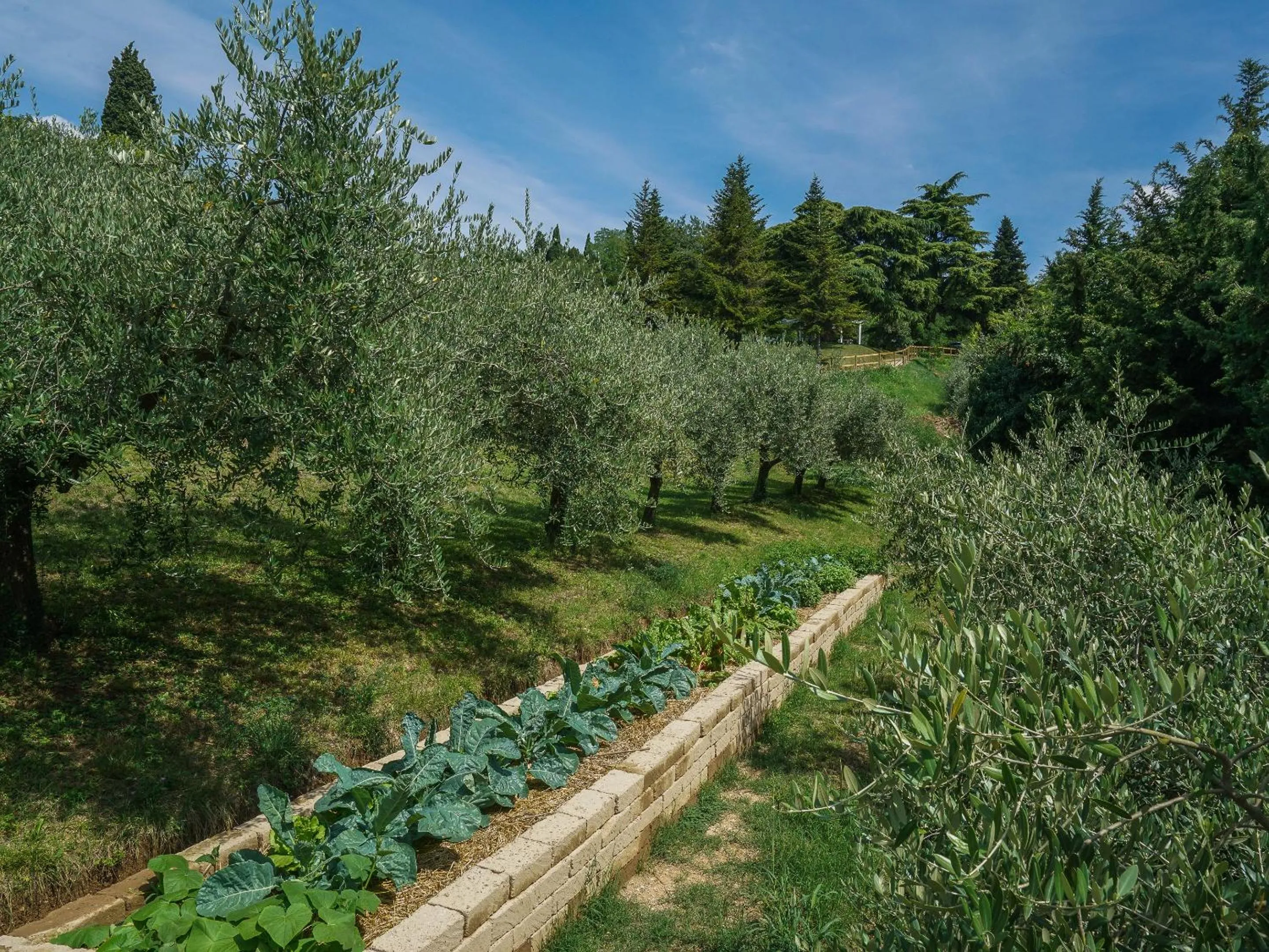 Natural landscape in Cà Toresele Relais Osteria Garden