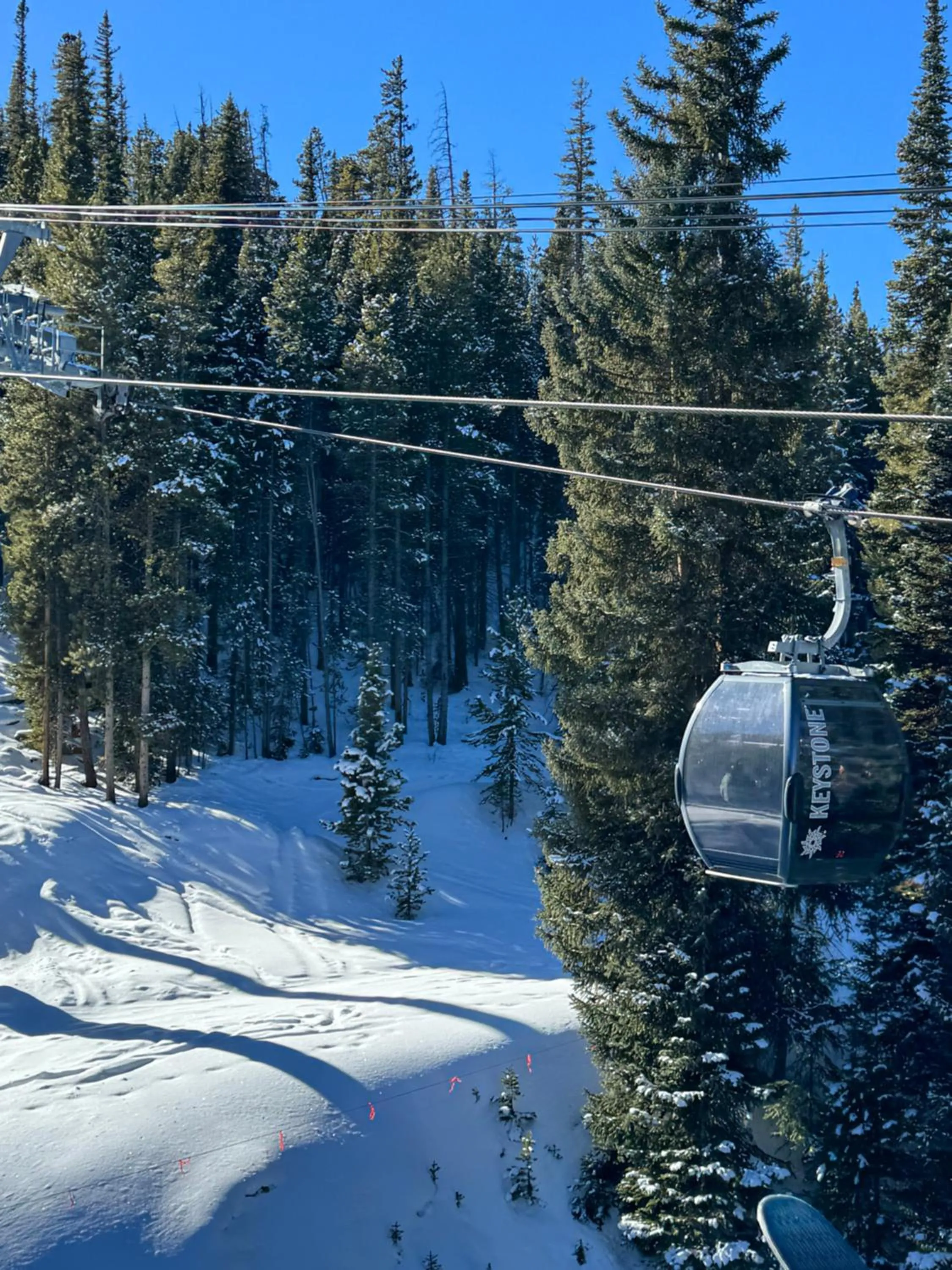 Buffalo Lodge 8327 by SummitCove Lodging