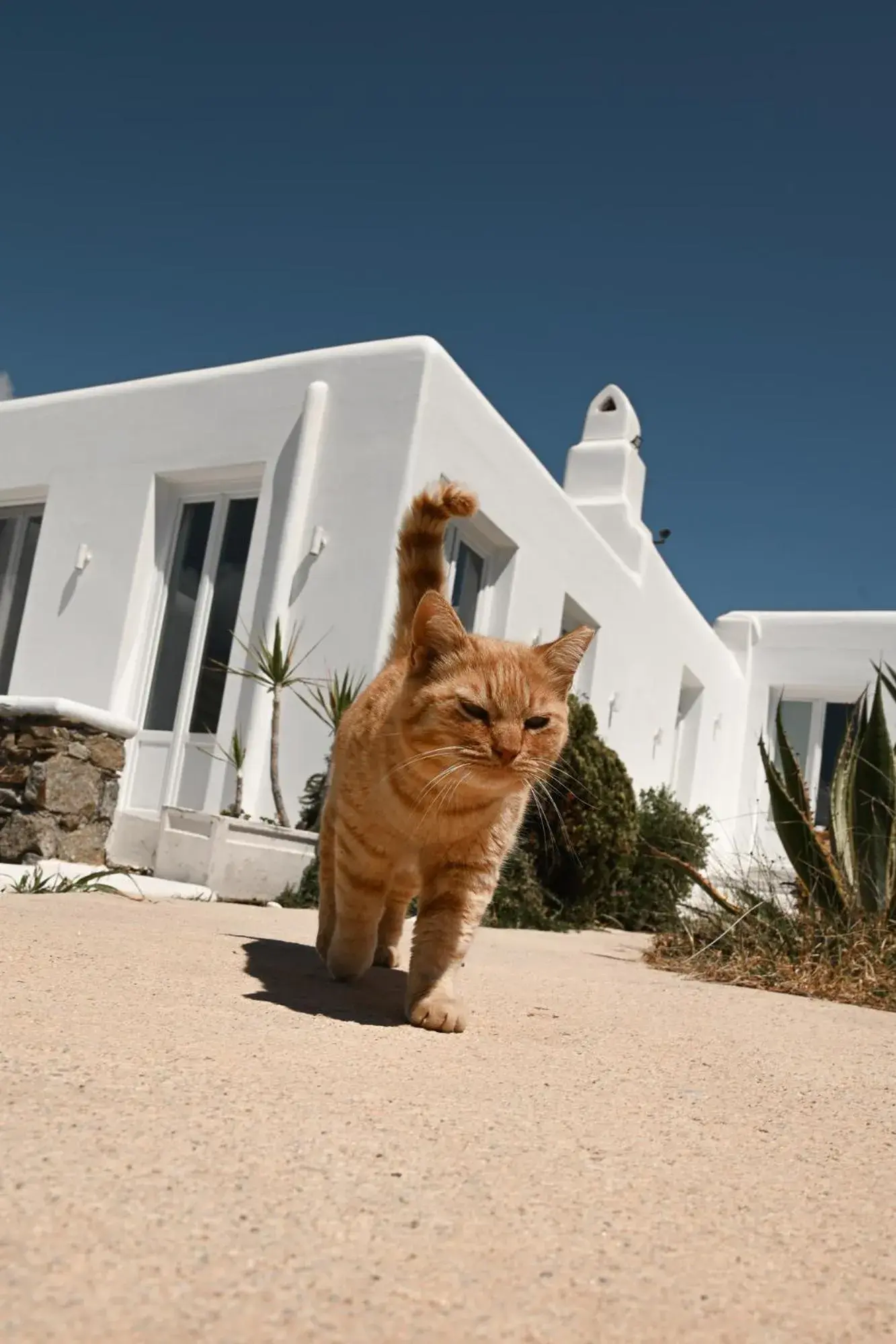 Property building in Mykonos Pantheon Property building in Mykonos Pantheon