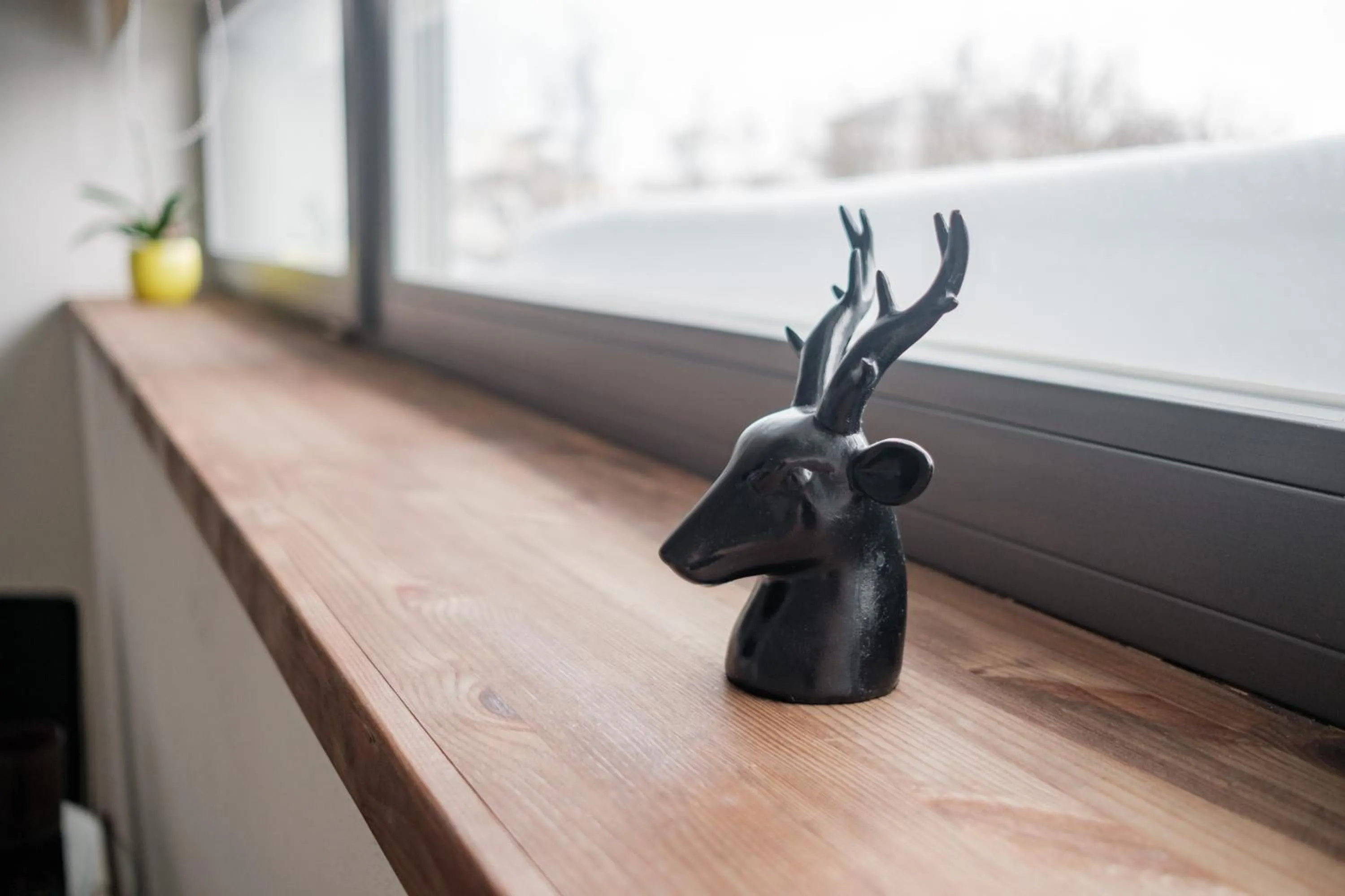 Decorative detail in Filosoofi 1 Studio Apartments