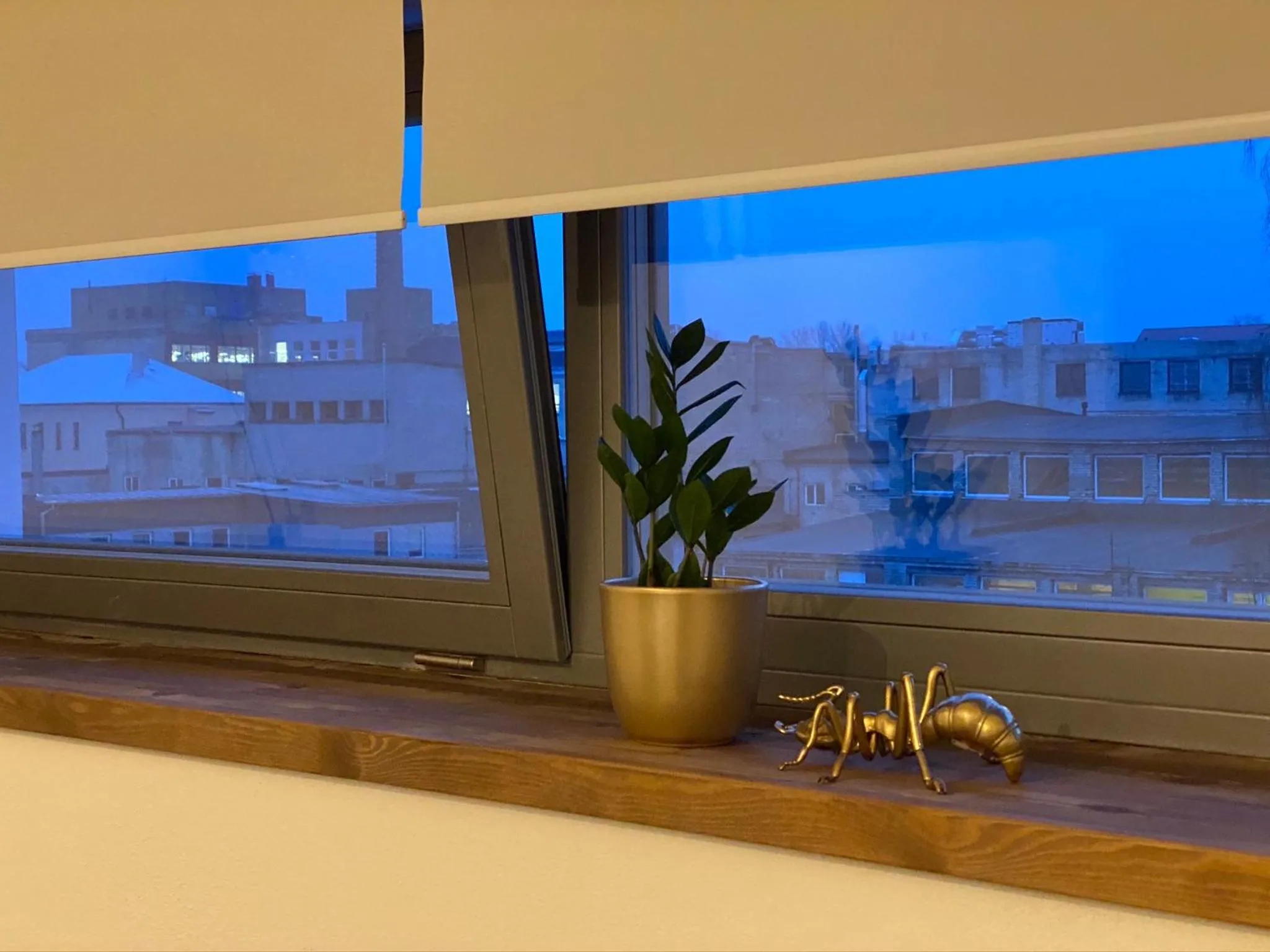 Other in Filosoofi 1 Studio Apartments