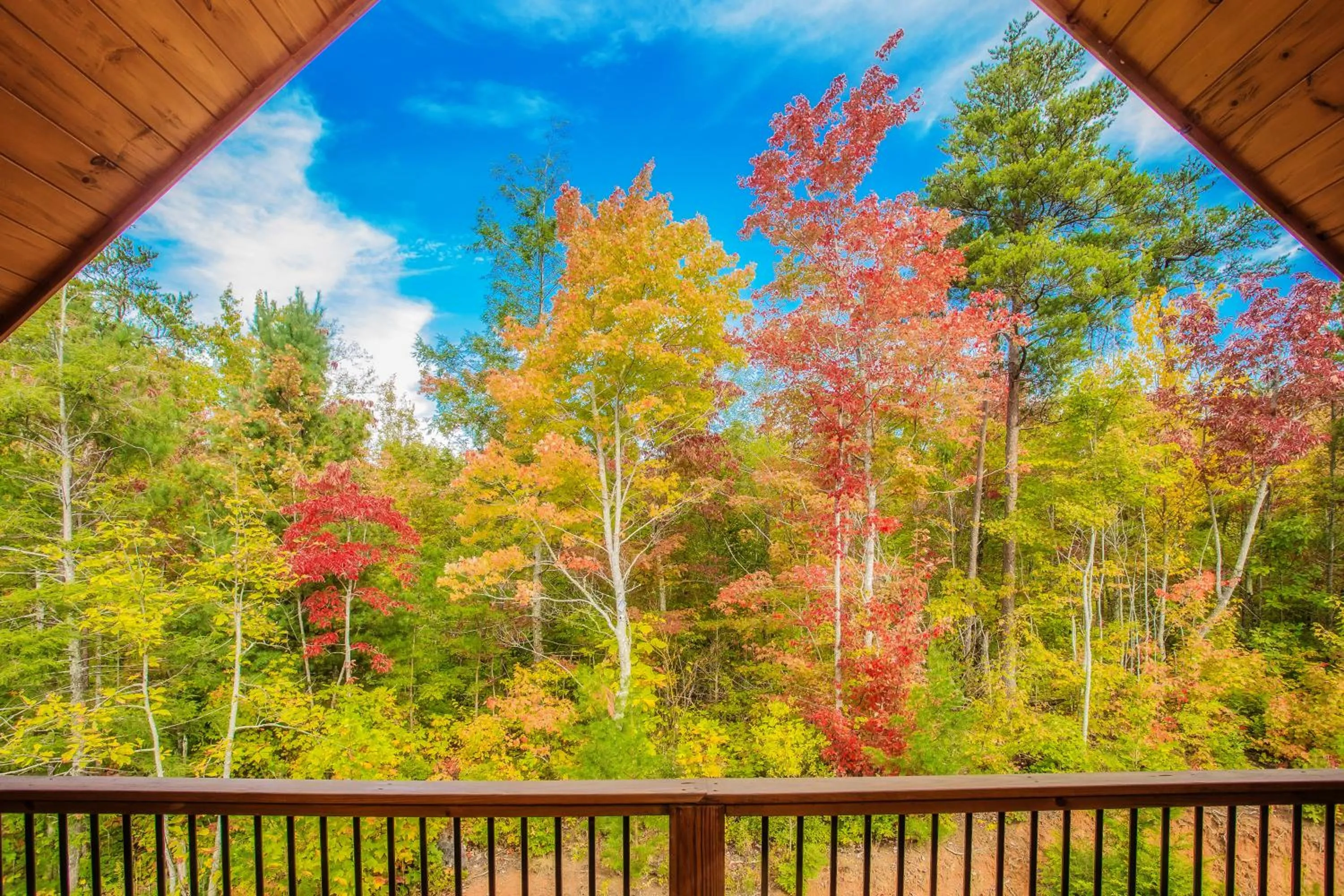 Star Dancer Cabin