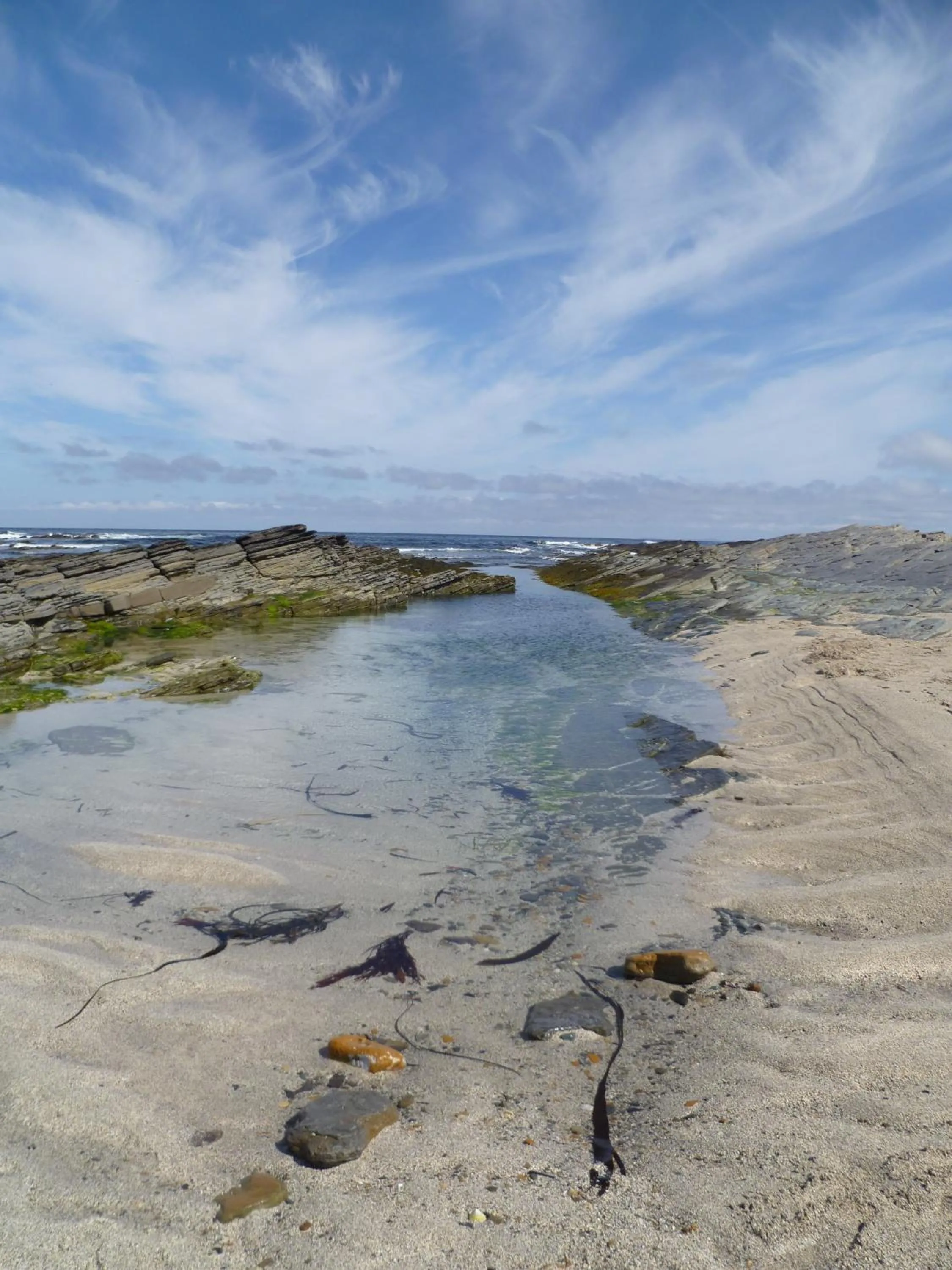 Natural landscape in Kirkwall Youth Hostel