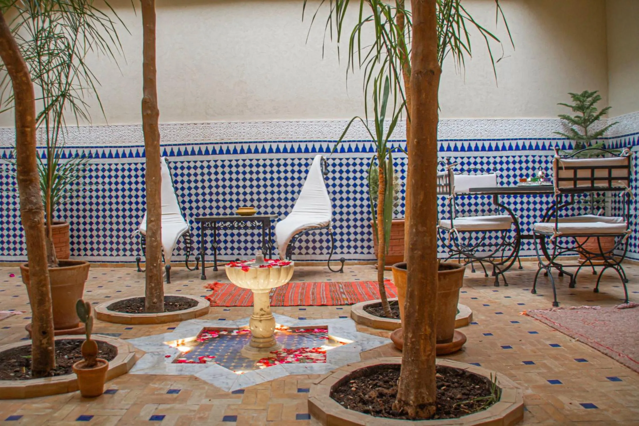 Patio in Riad Dar Tamlil