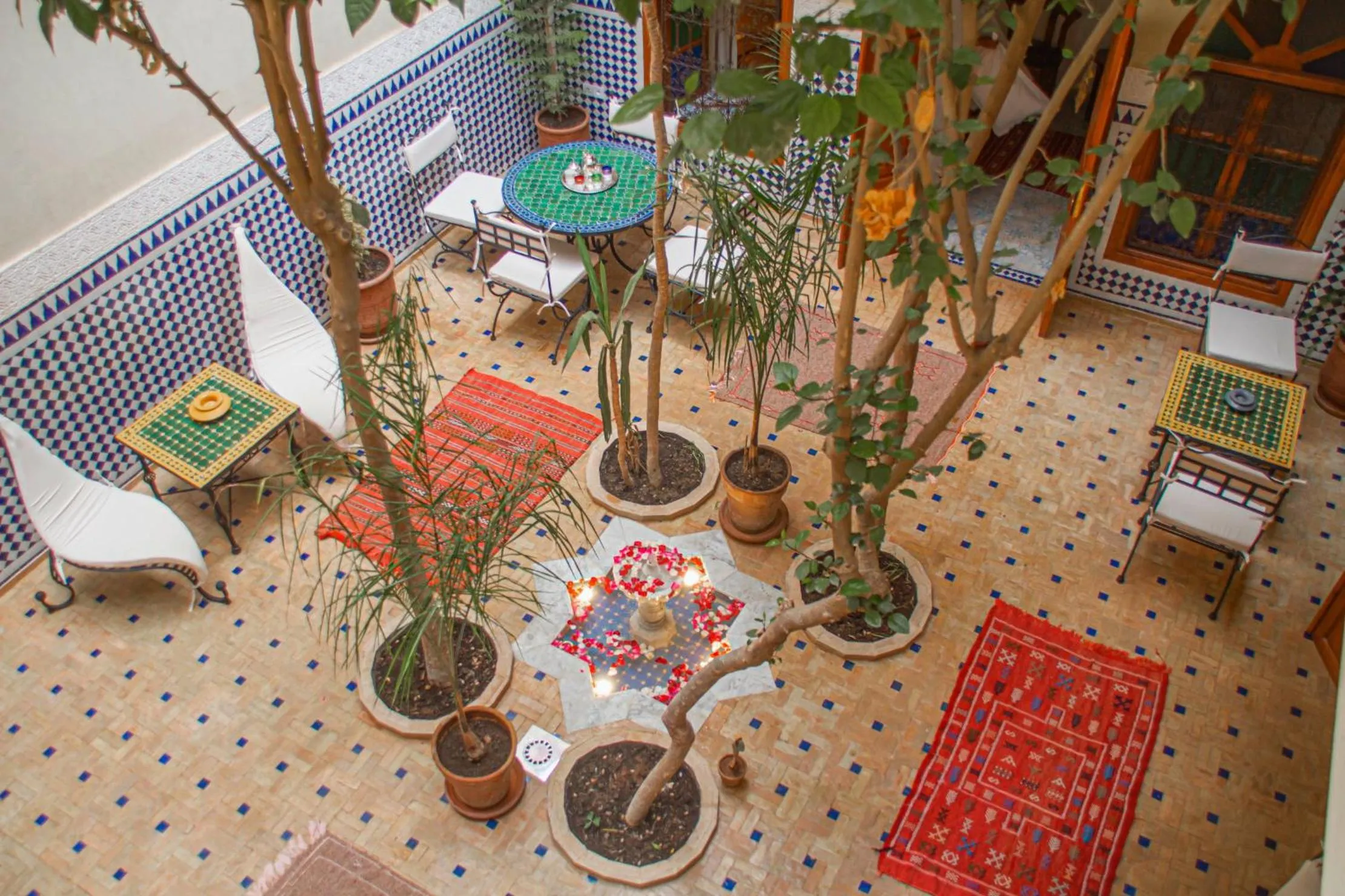 Patio in Riad Dar Tamlil