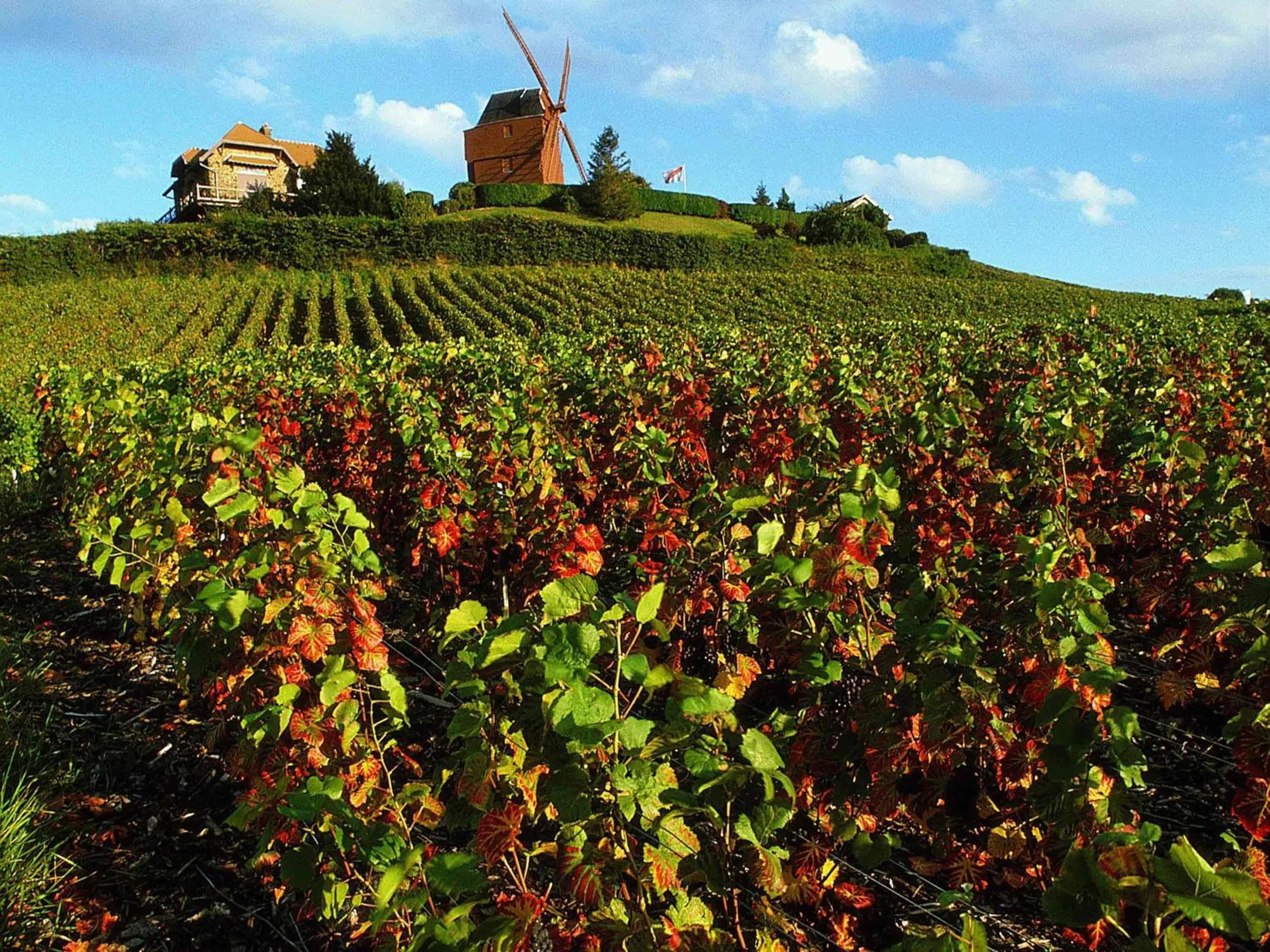 Other in Ibis Styles Reims Centre