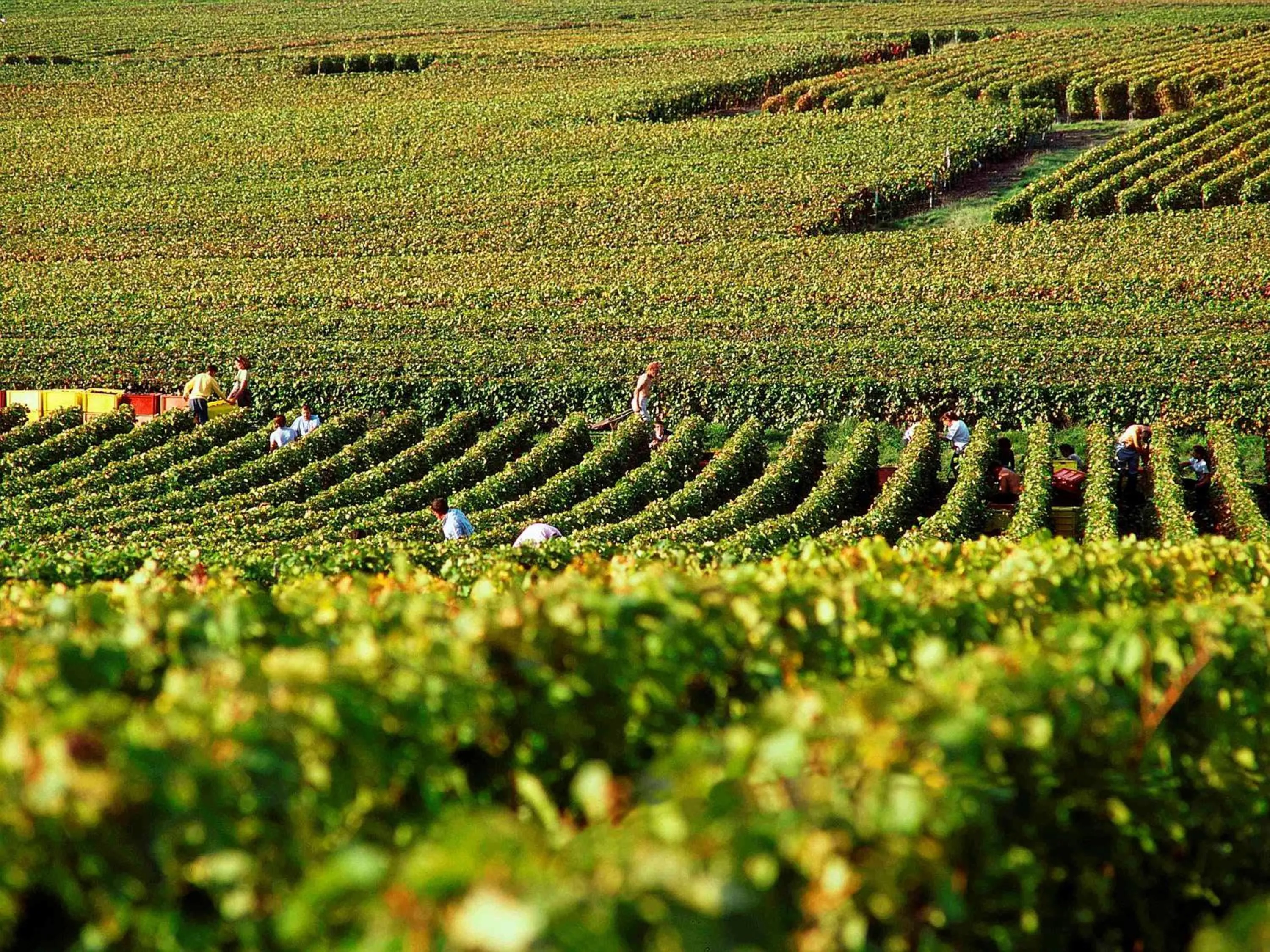 On site in Ibis Styles Reims Centre