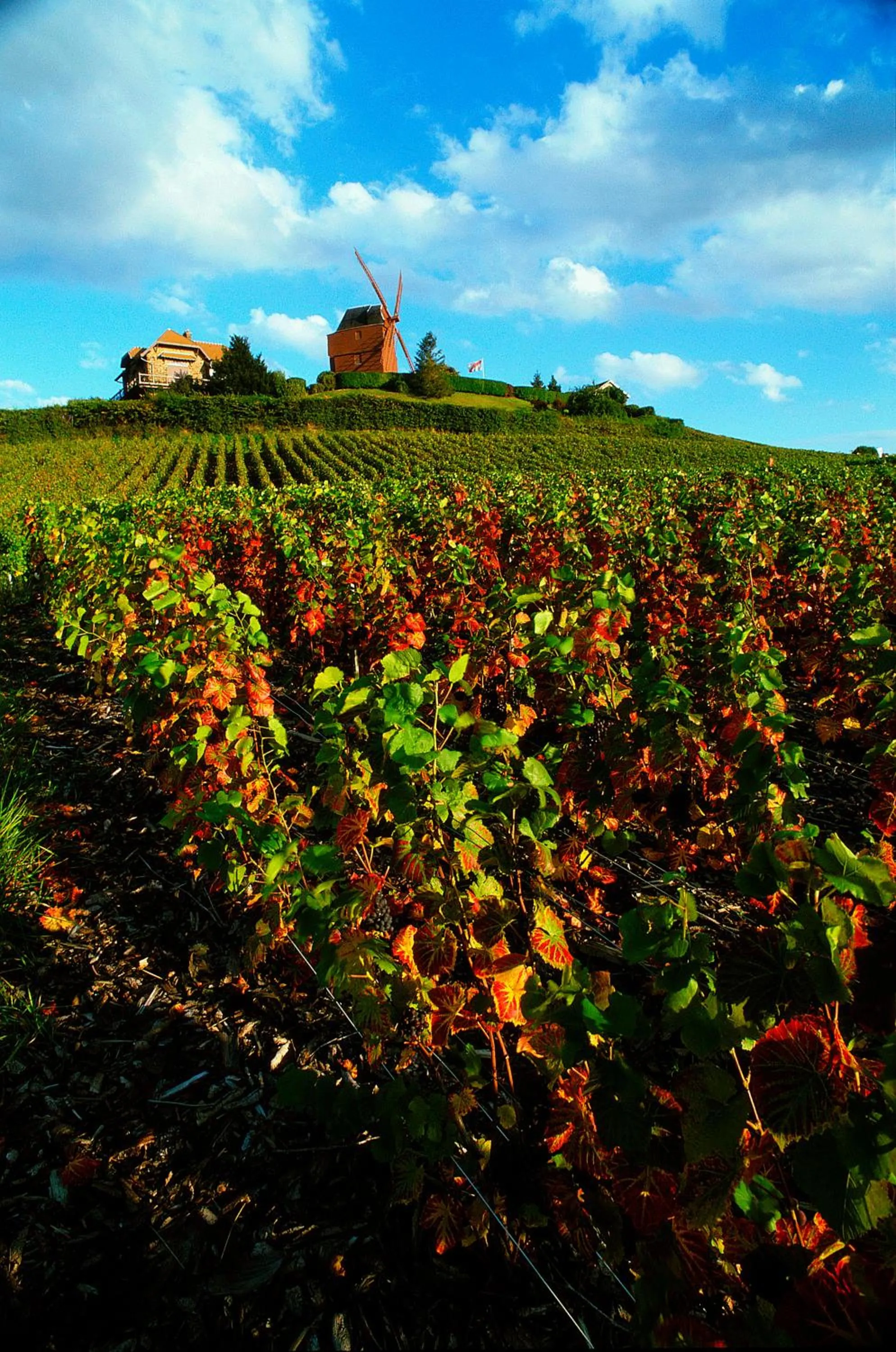Nearby landmark in Ibis Styles Reims Centre