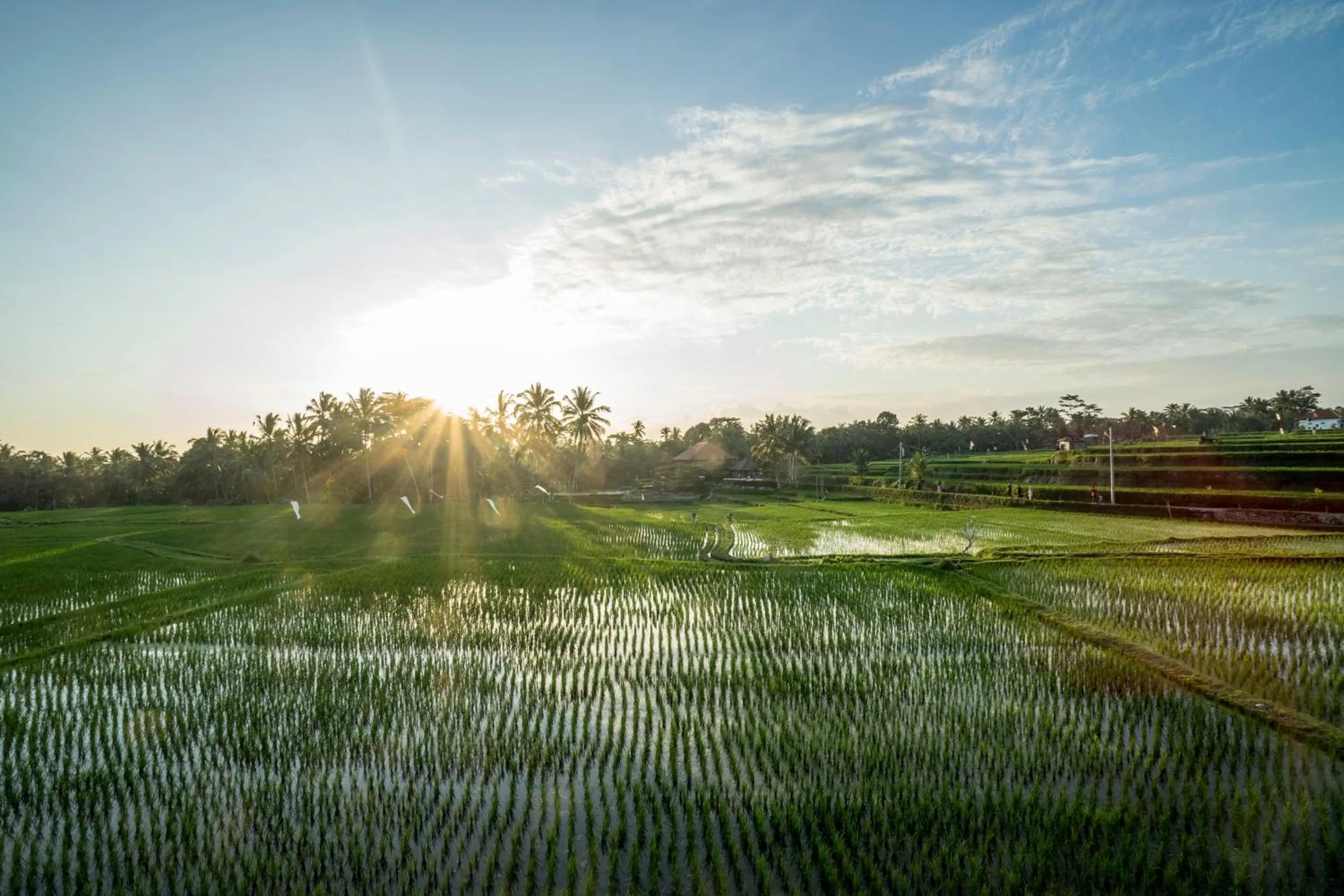 Sunset in Villa Tanah Carik by Mahaputra