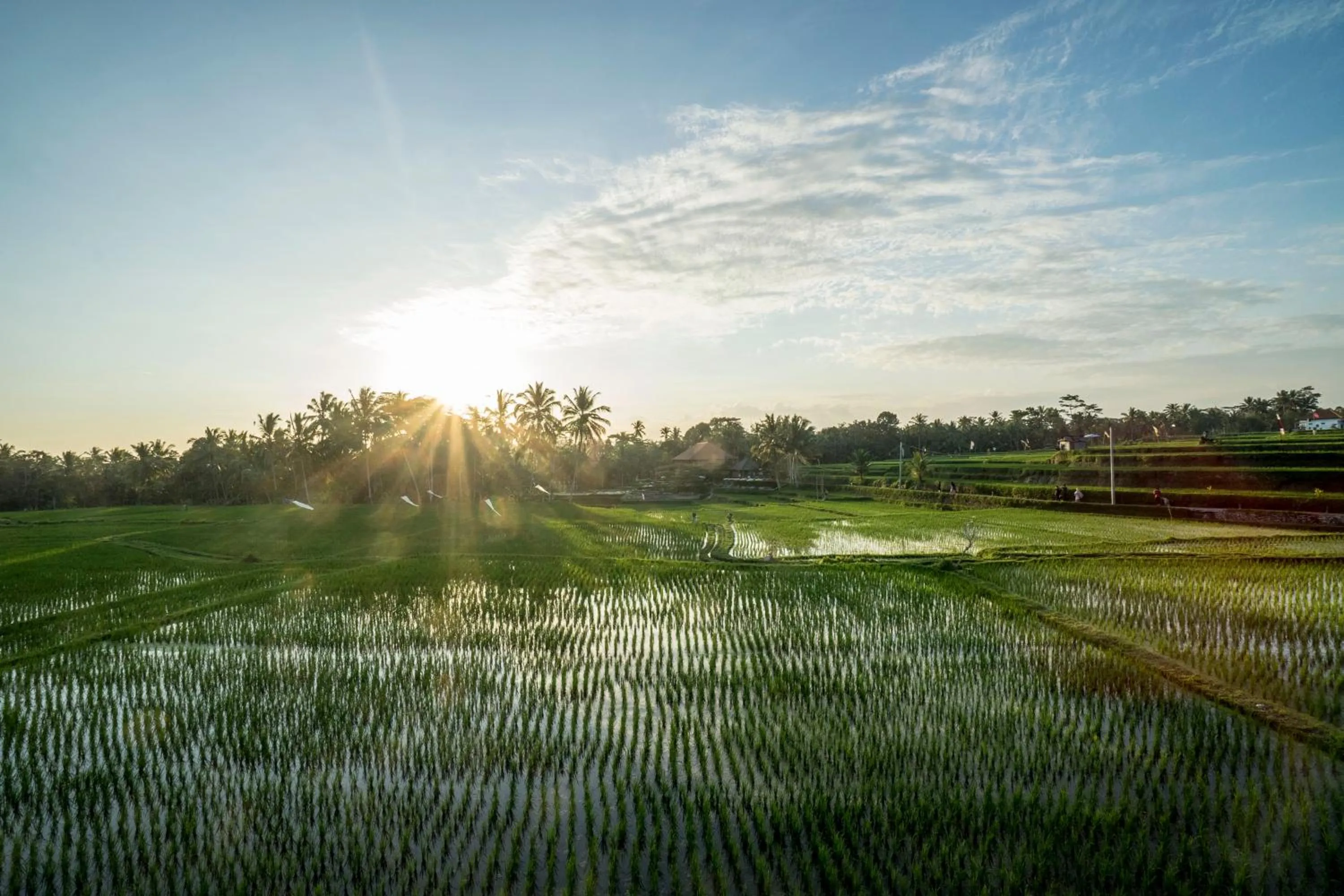 Sunset in Villa Tanah Carik by Mahaputra
