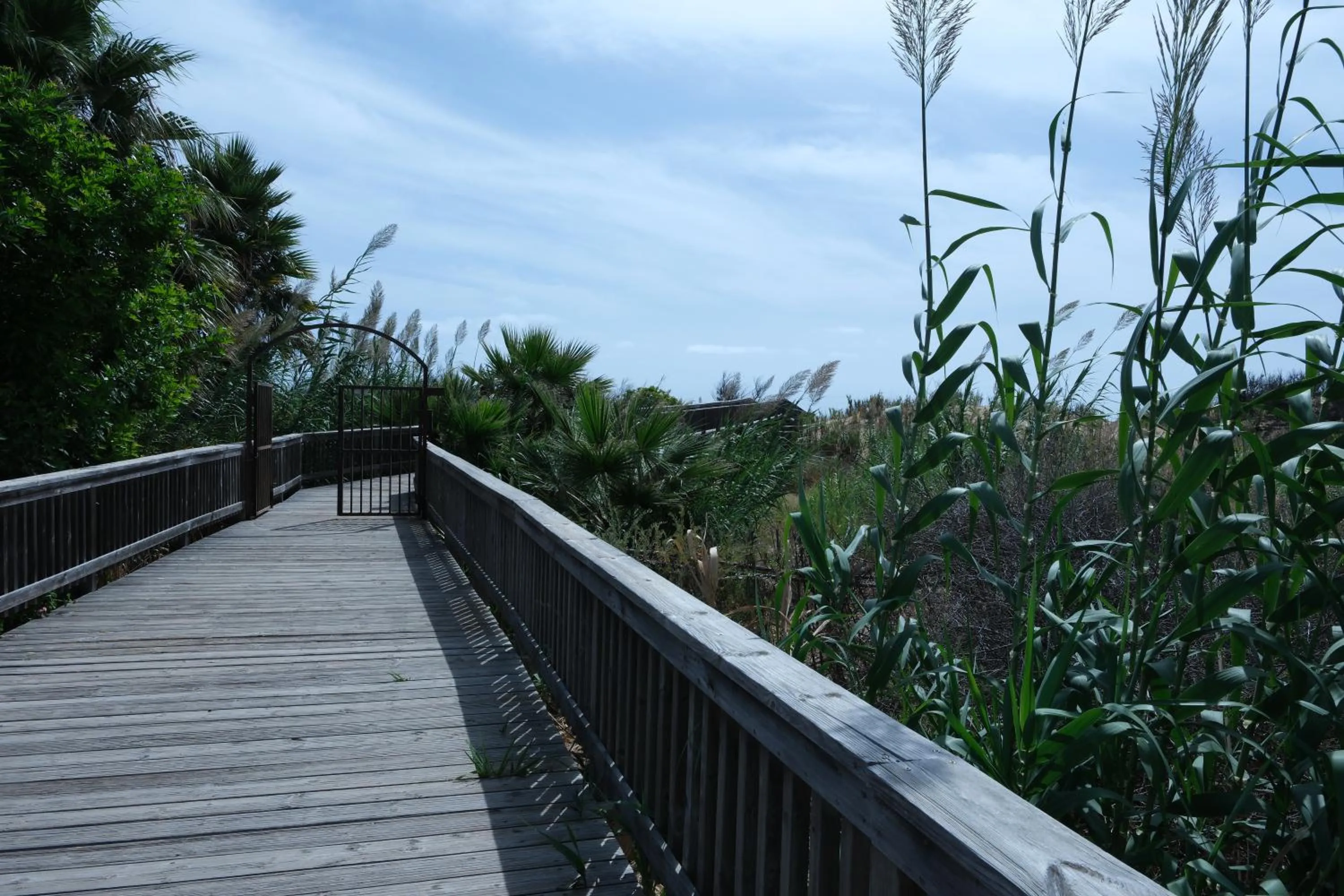 The Navigator - Colombus Apartments & Villas