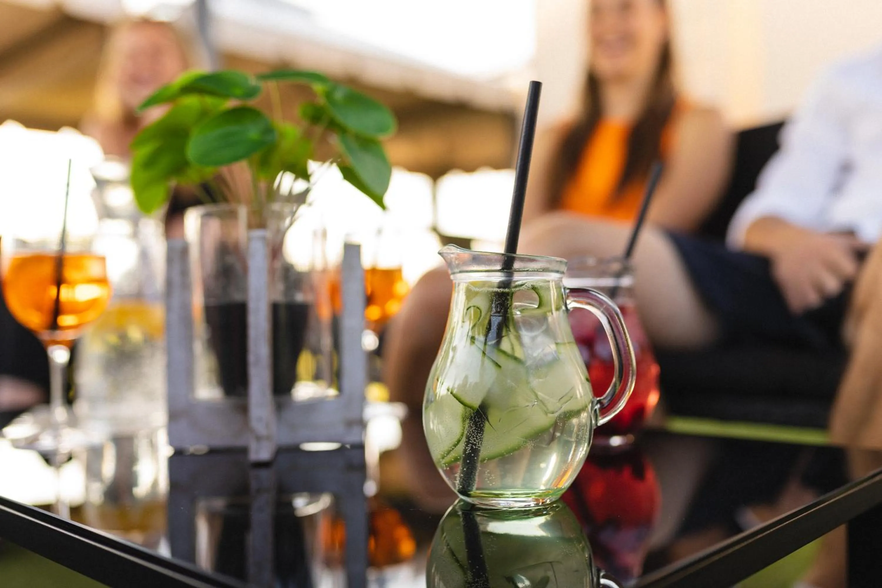 Lounge or bar in Spa Hotel Vita