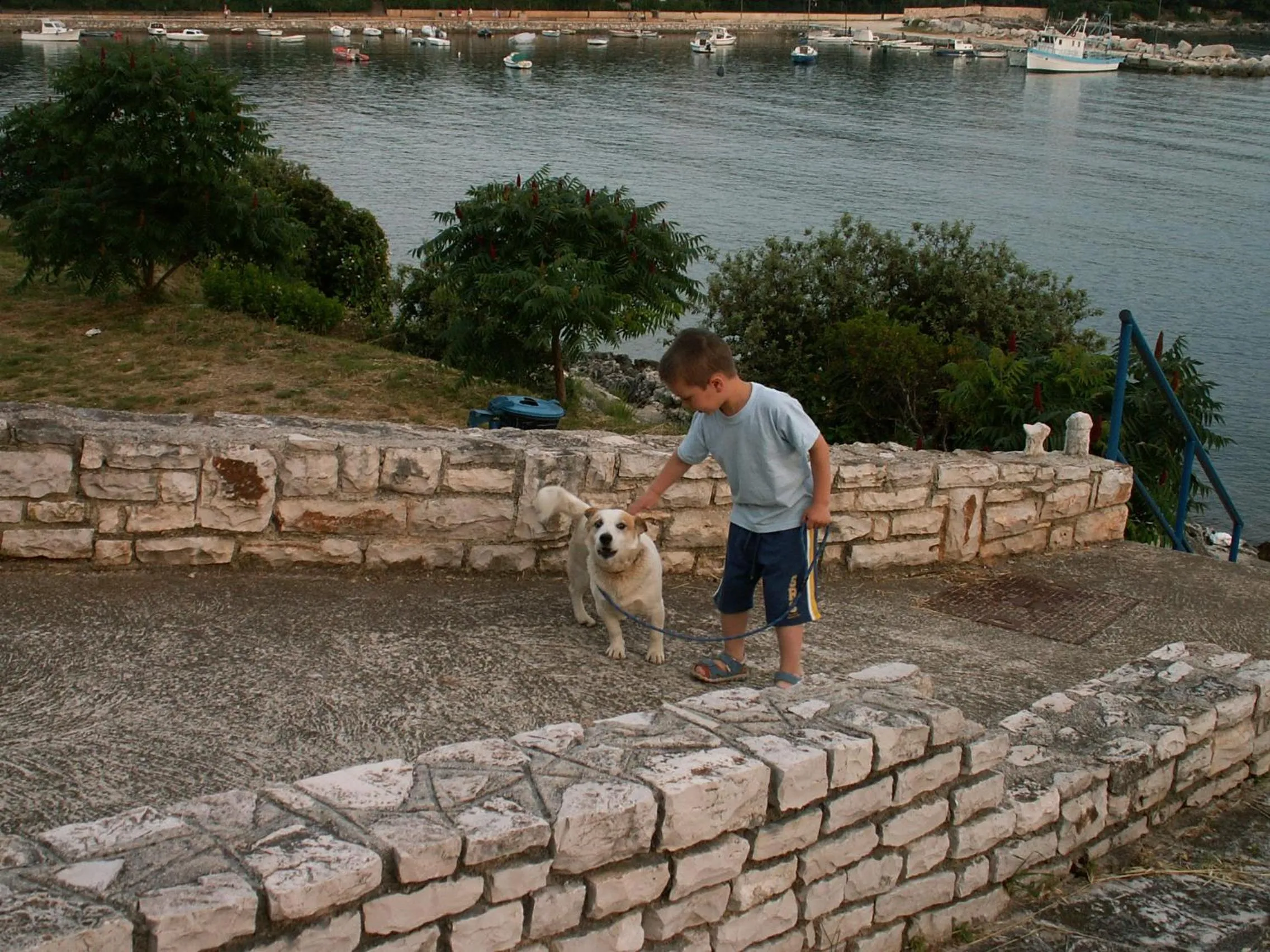 Pets in Apartments Villa Bartol